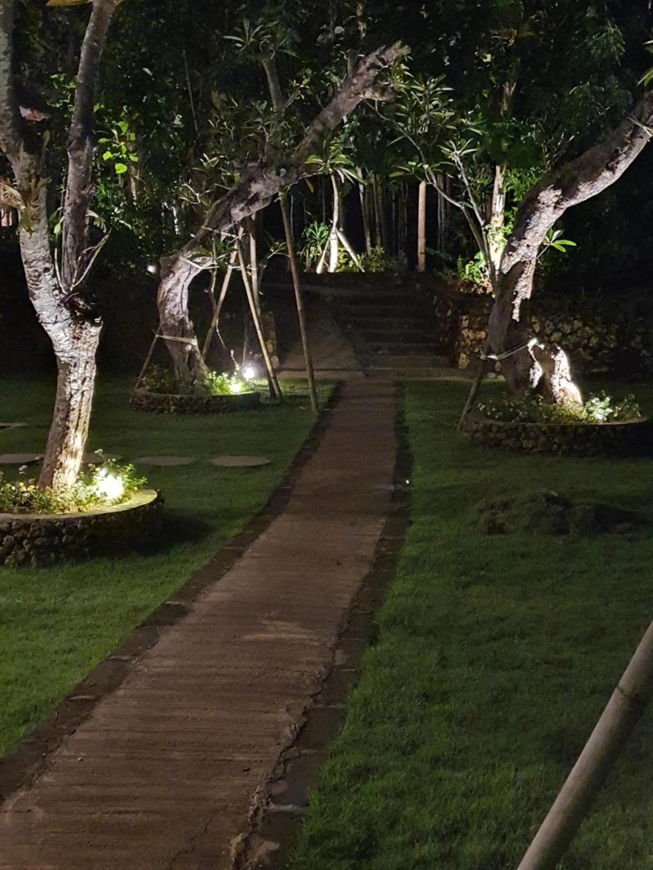 Medori Putih Homestay