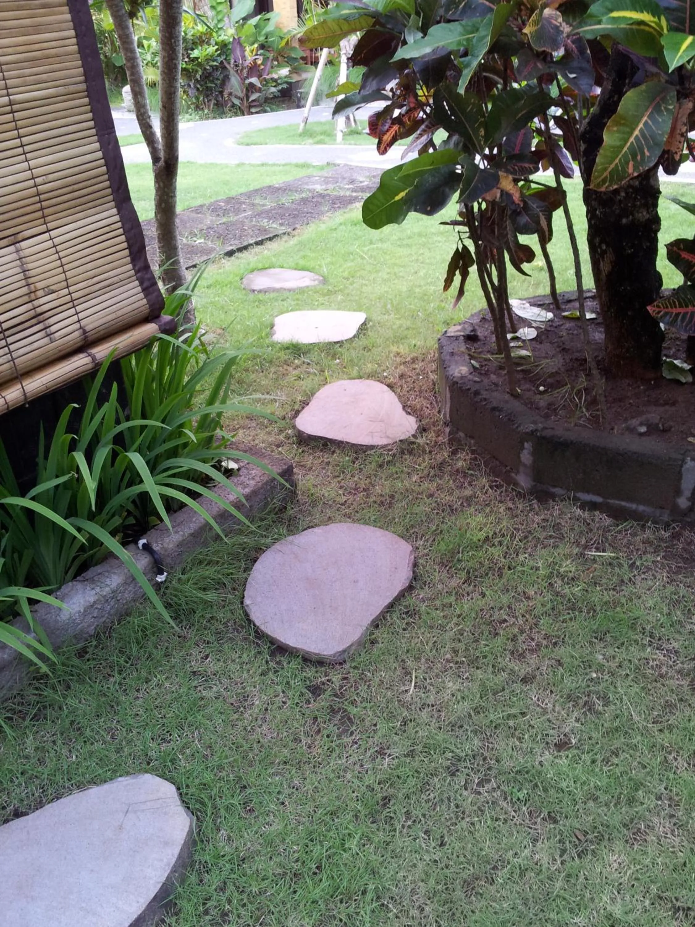 Swimming pool in Medori Putih Homestay
