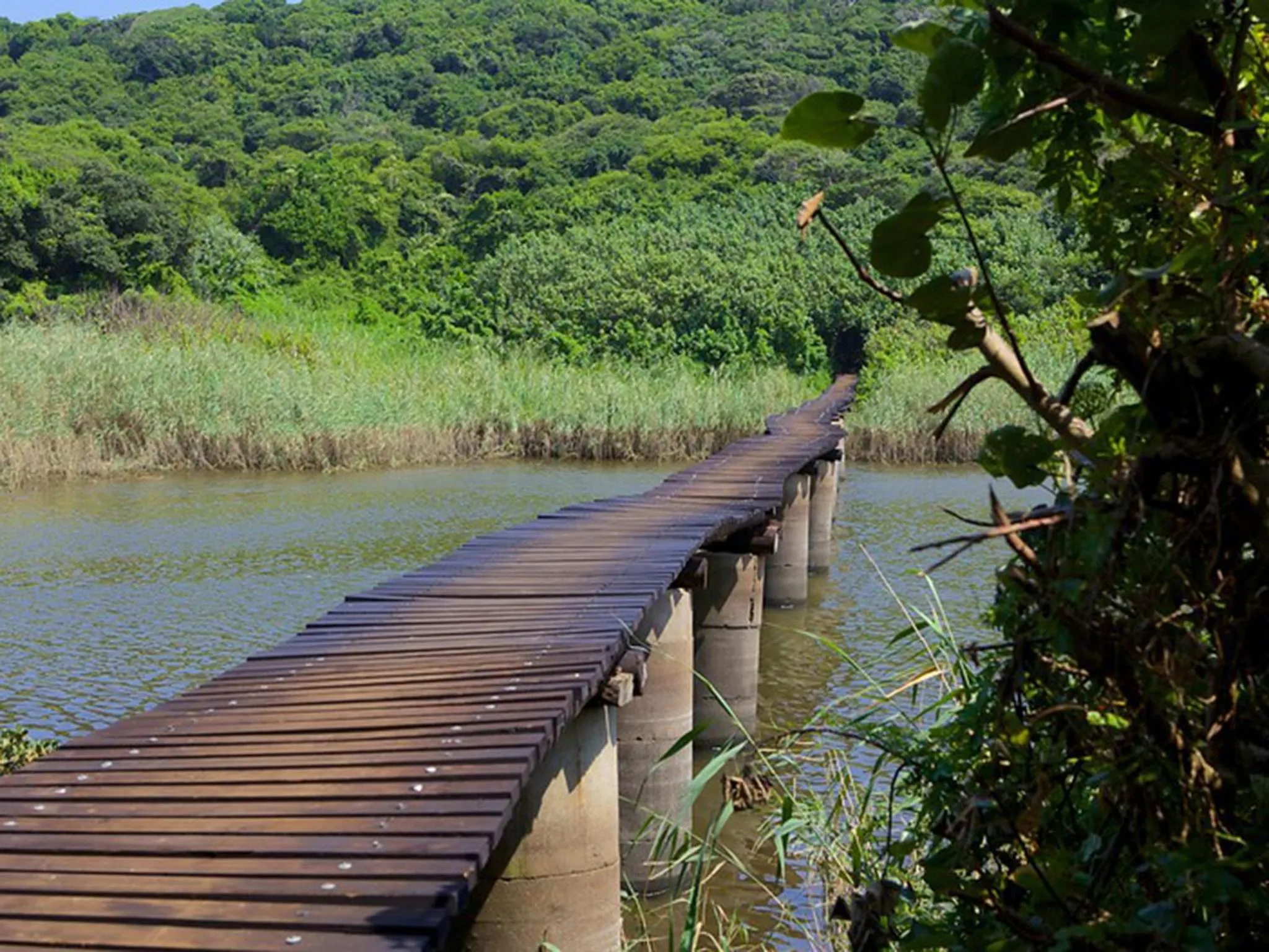 Natural landscape in Umhlanga Cabanas