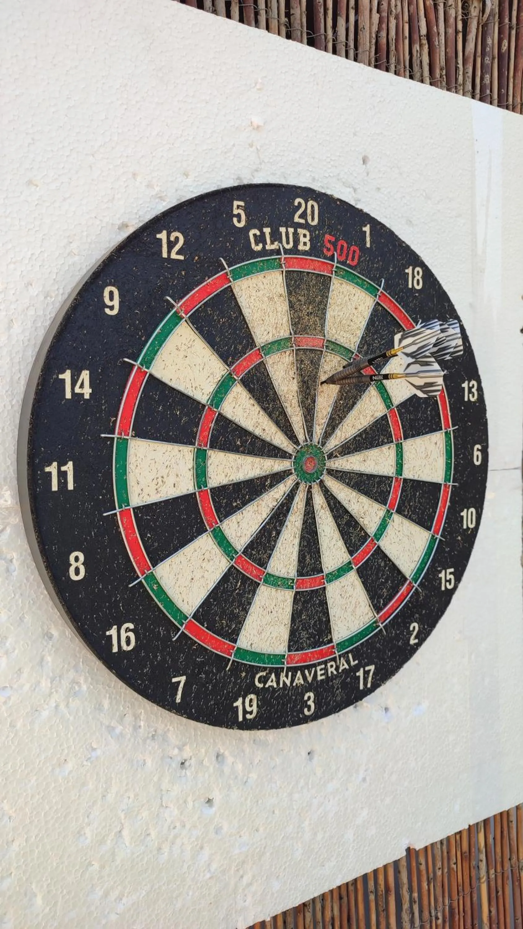Darts in B&B Casa El Corasueño