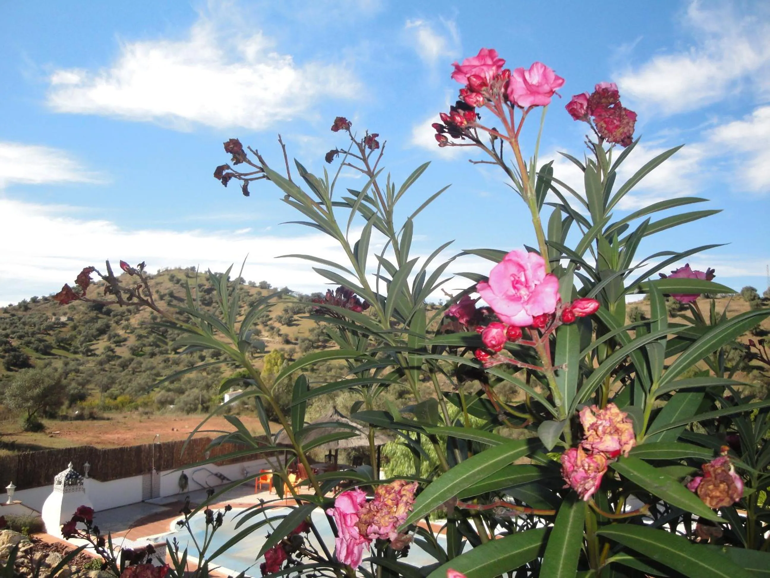 Garden in B&B Casa El Corasueño