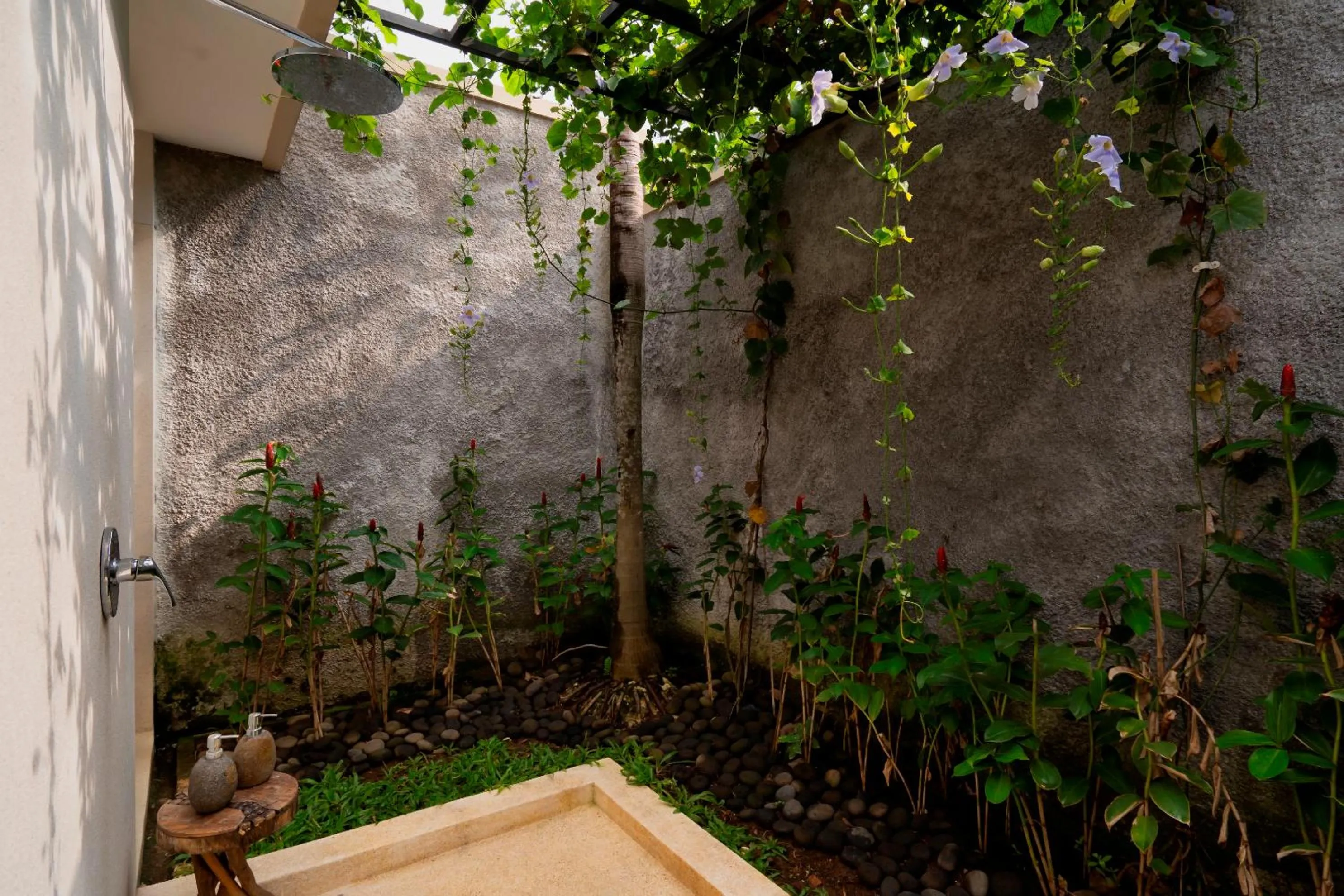 Day in Freddies Resort & Villas Ubud by Kanaya Hospitality