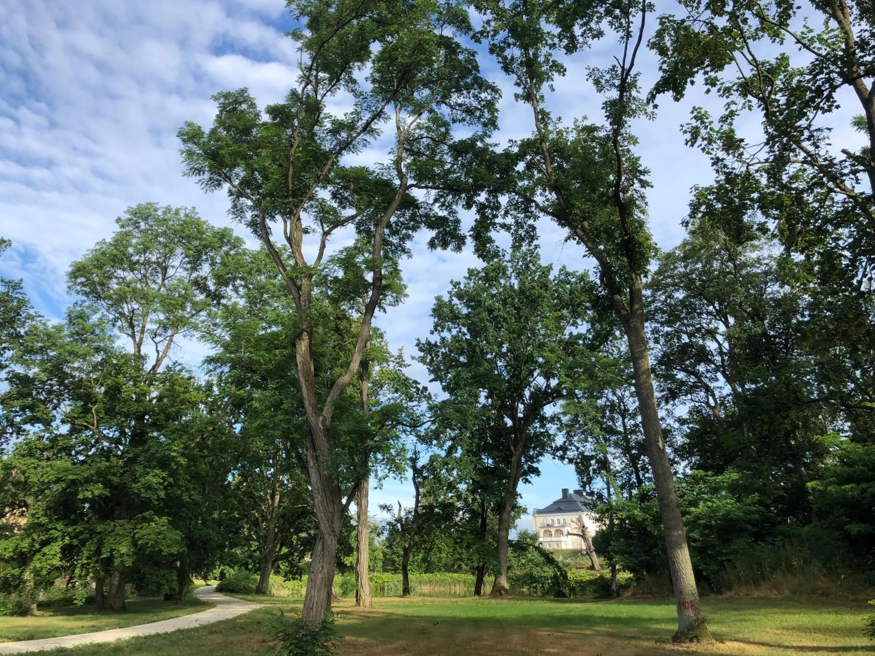 Spring in Pałac Komierowo