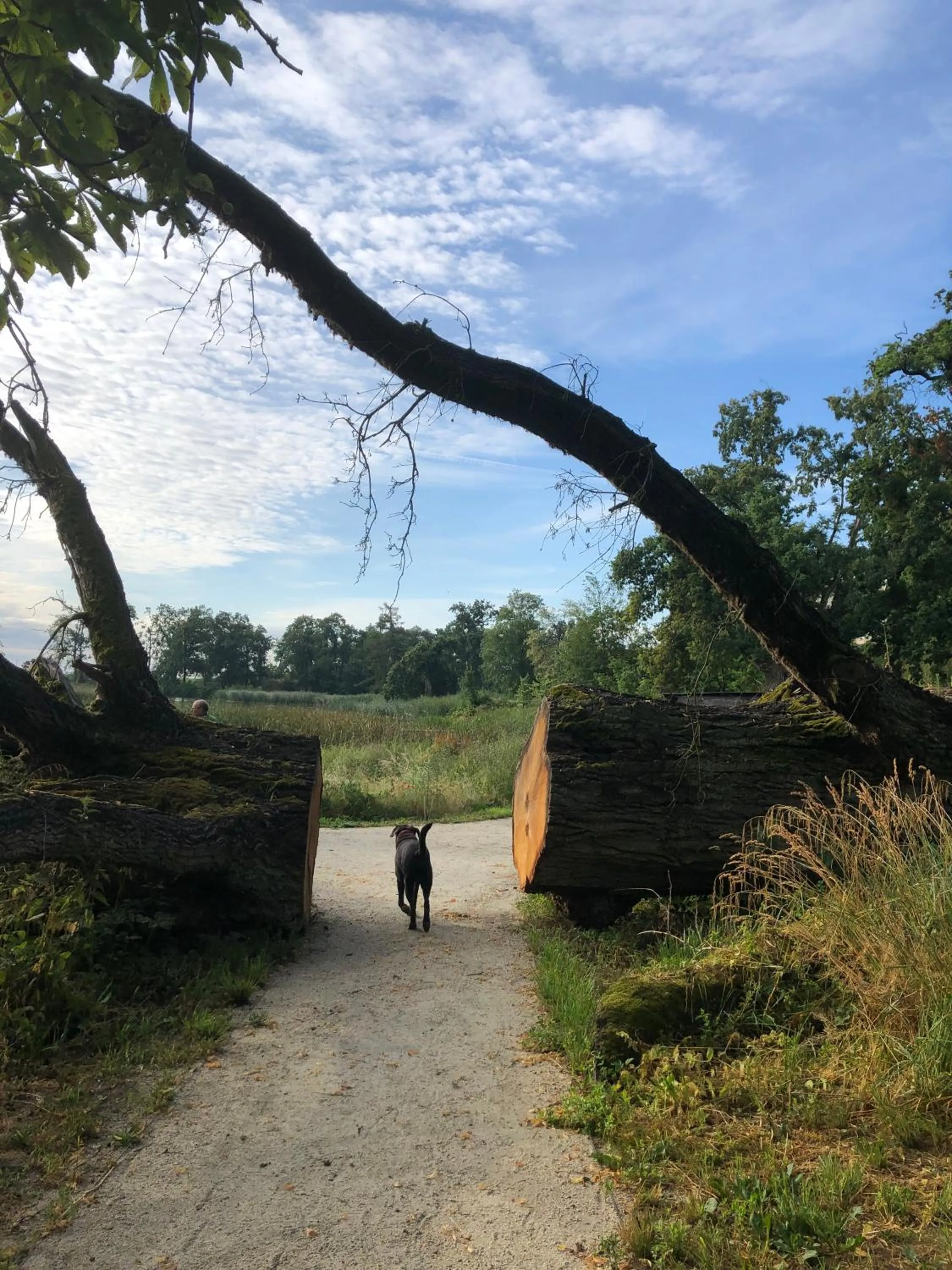 Day in Pałac Komierowo