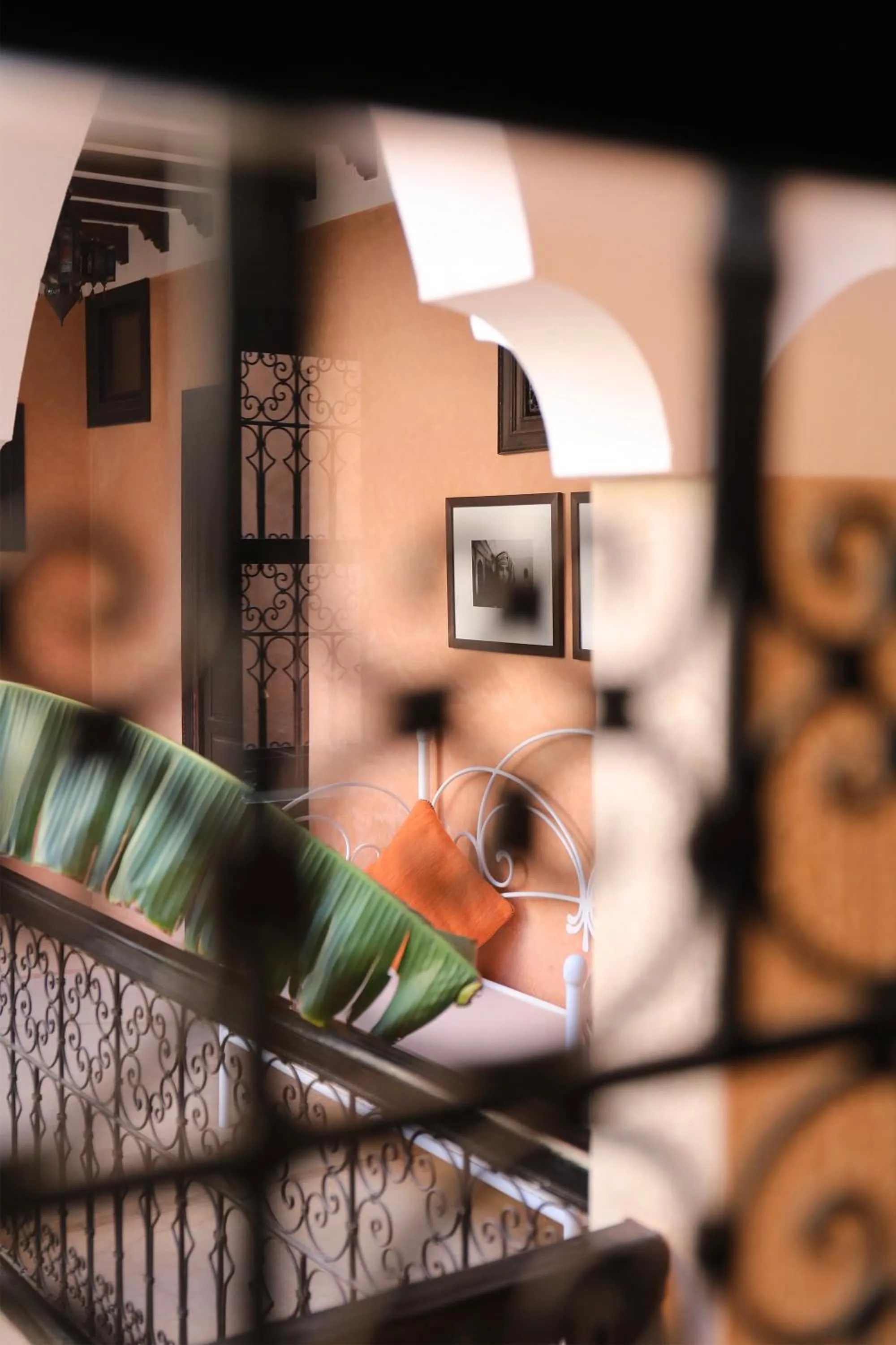Balcony/Terrace in Riad l'Oiseau du Paradis