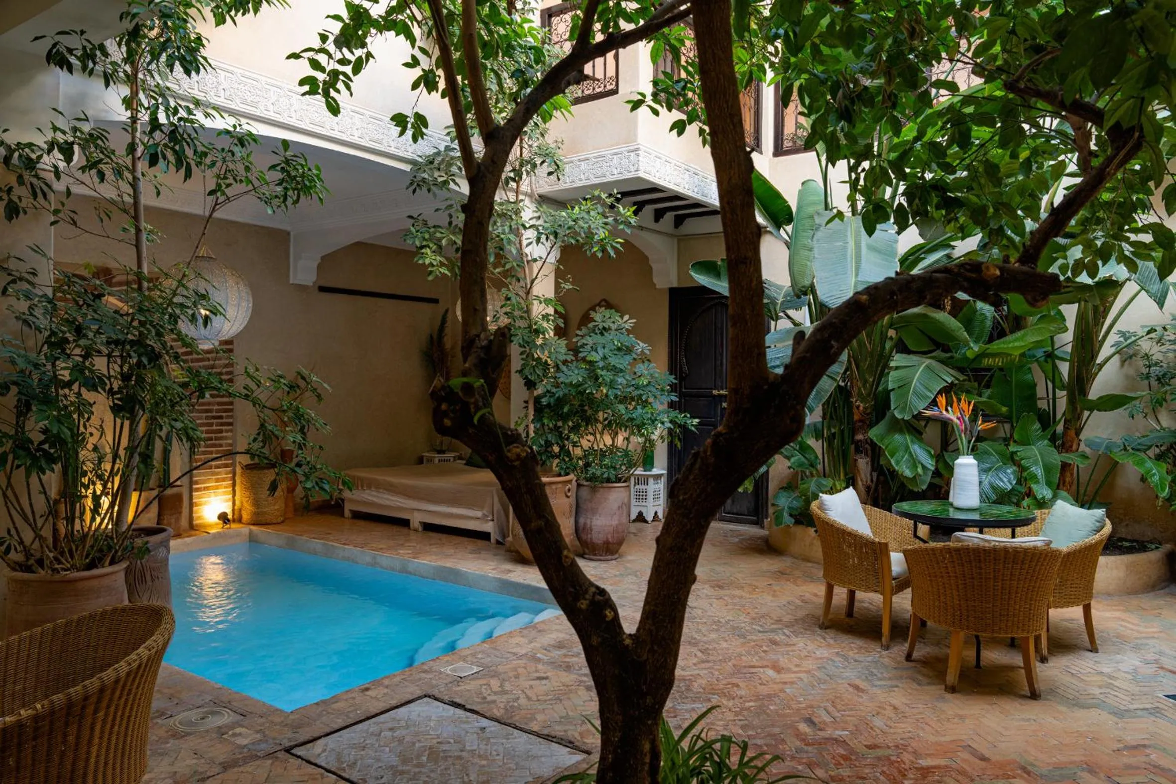 Pool view in Riad l'Oiseau du Paradis