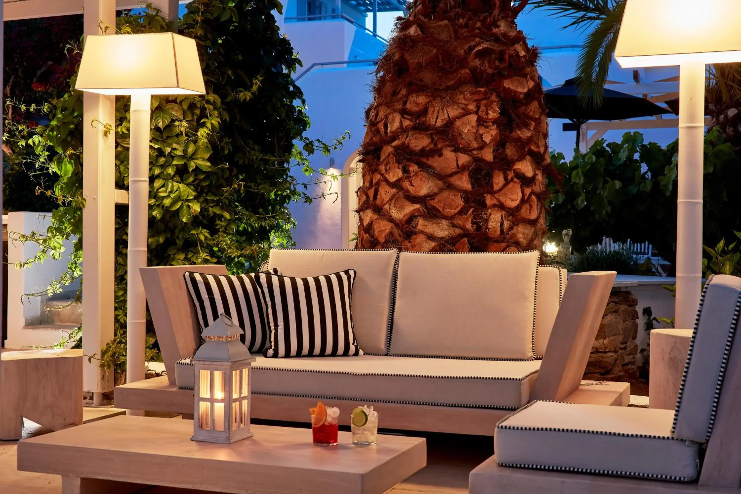 Restaurant/places to eat in Mr and Mrs White Paros Restaurant/places to eat in Mr and Mrs White Paros