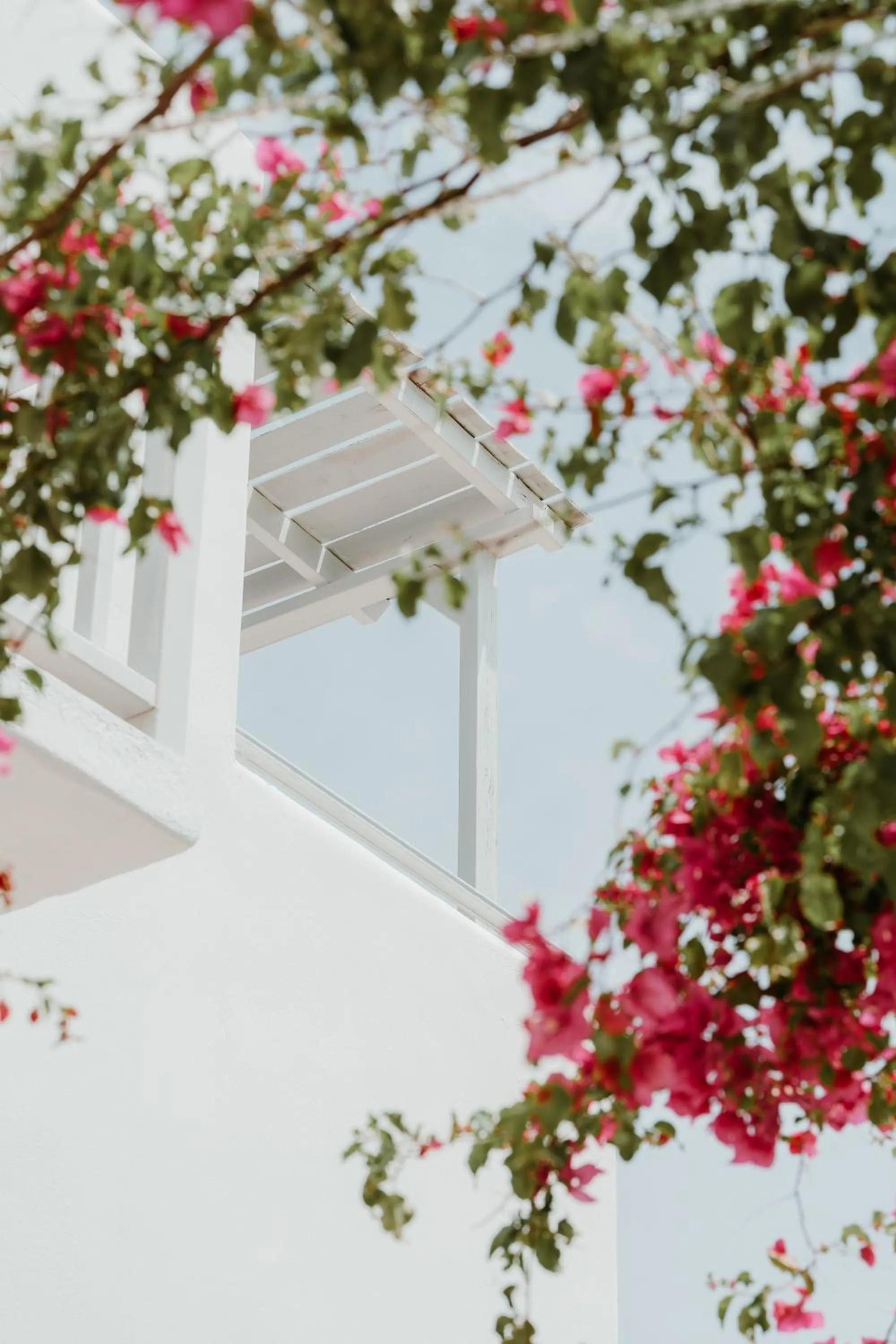 Property building in Mr and Mrs White Paros