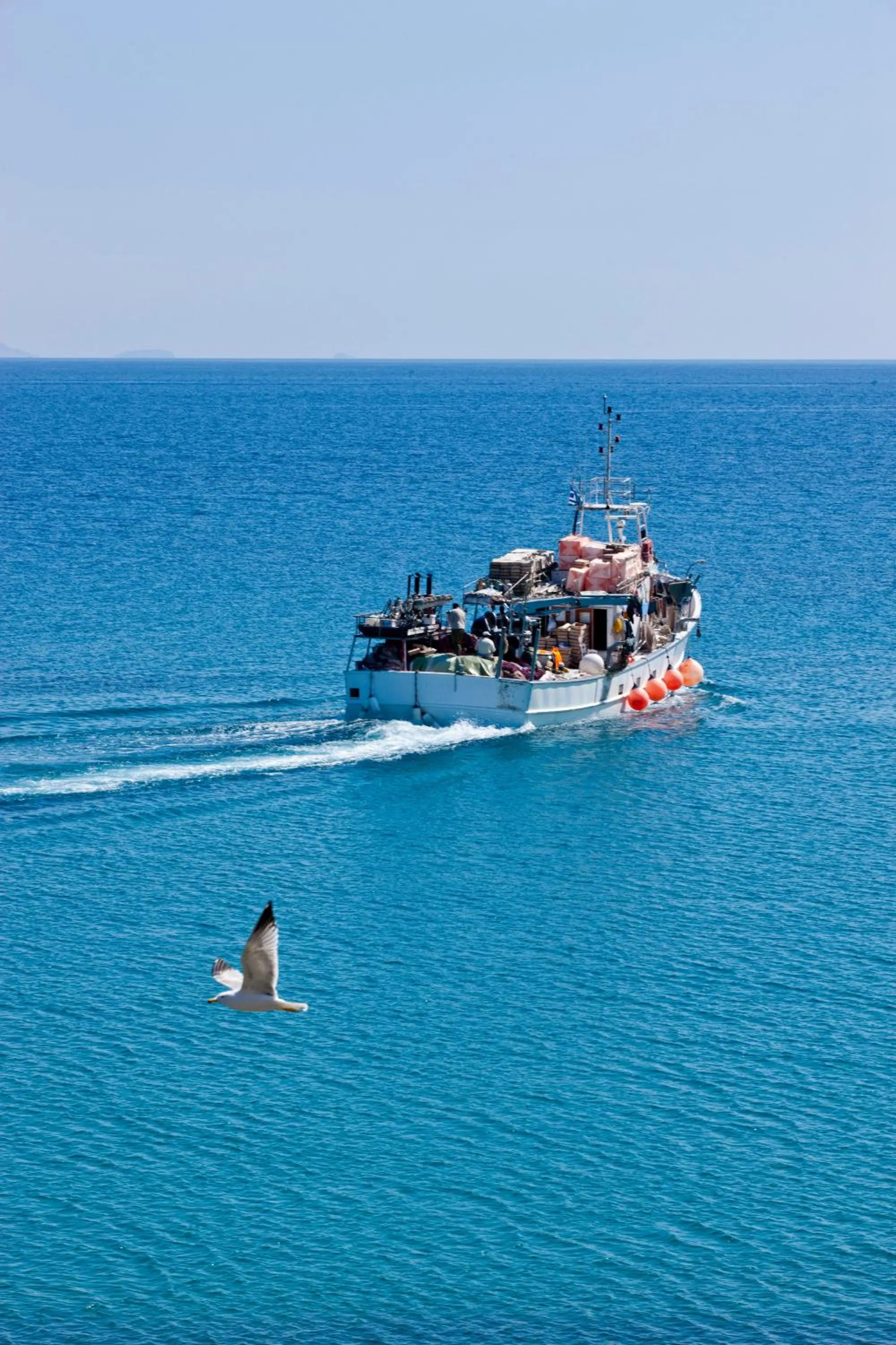 Activities in Mr and Mrs White Paros