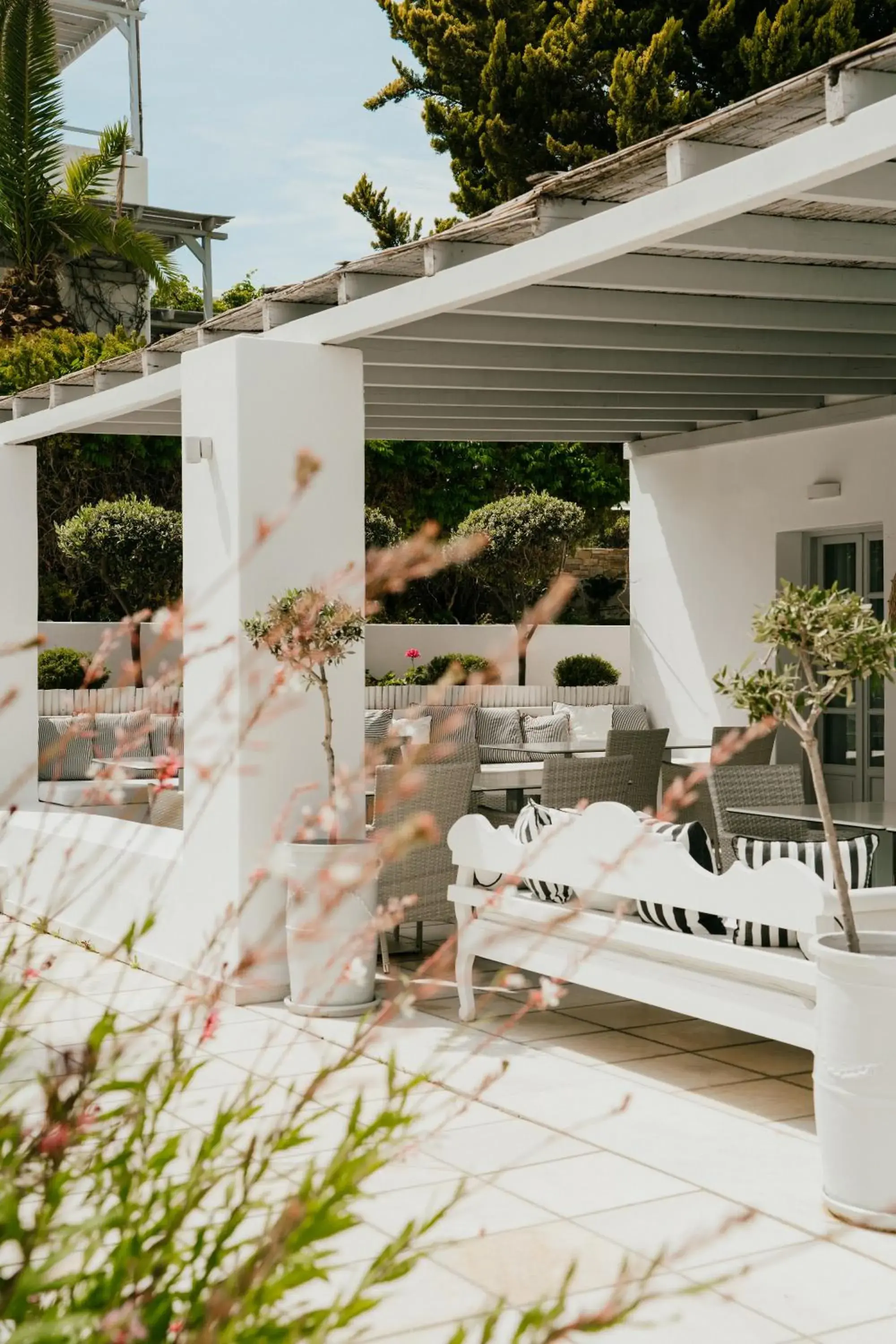 Restaurant/places to eat in Mr and Mrs White Paros Restaurant/places to eat in Mr and Mrs White Paros