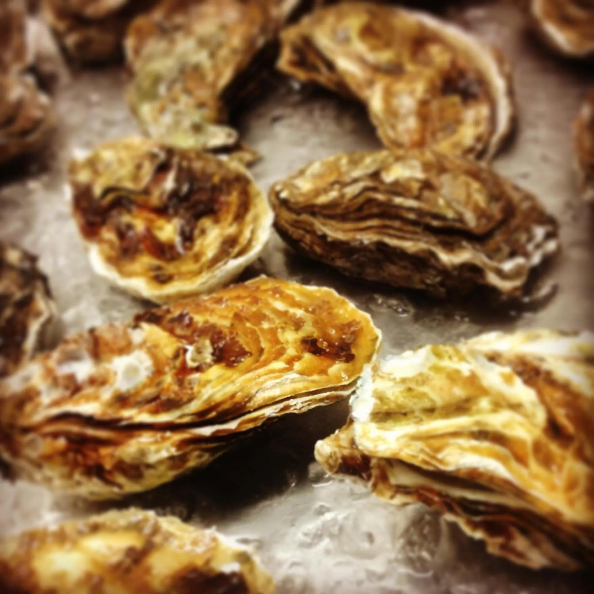 Food in Residence Le 4 Stagioni