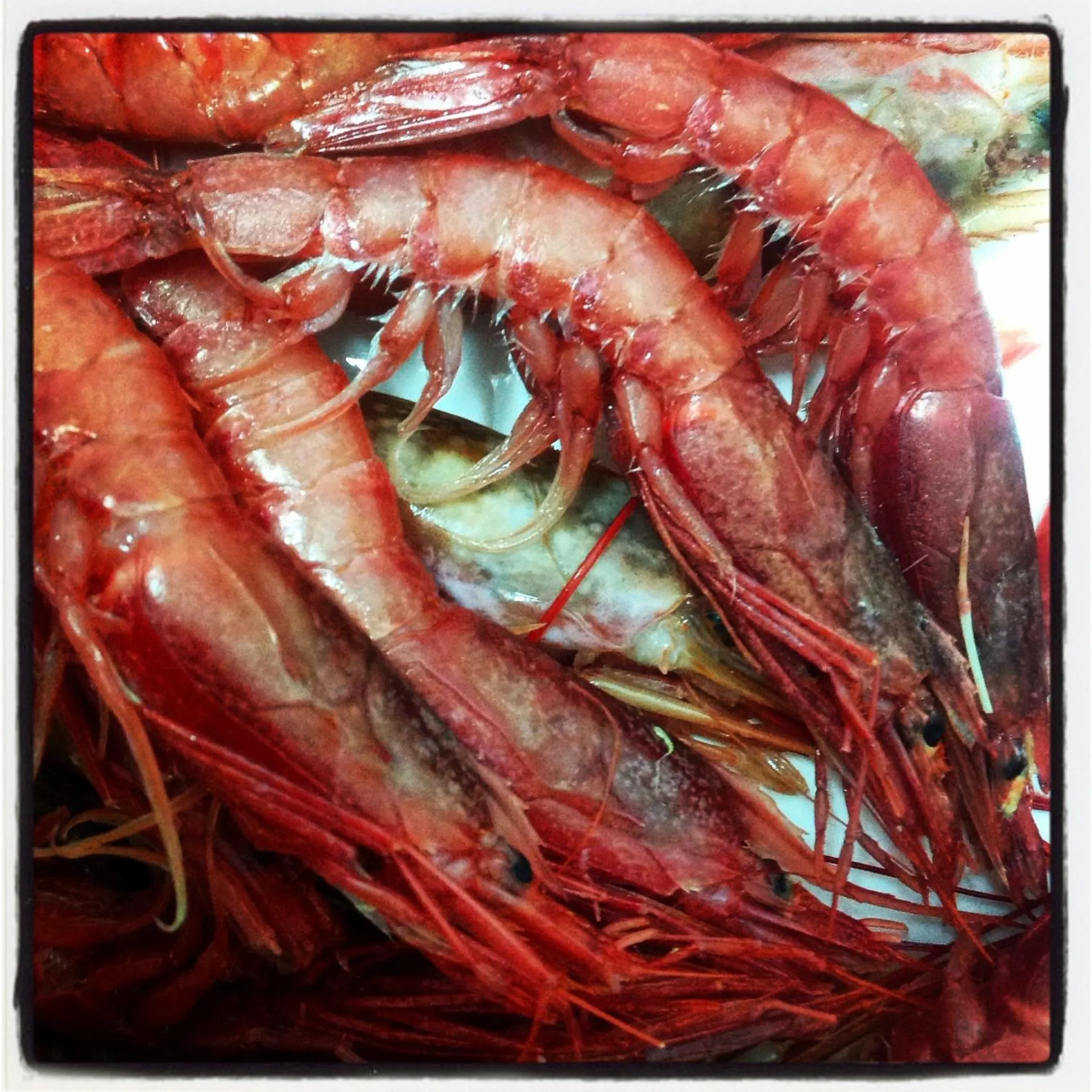 Food in Residence Le 4 Stagioni