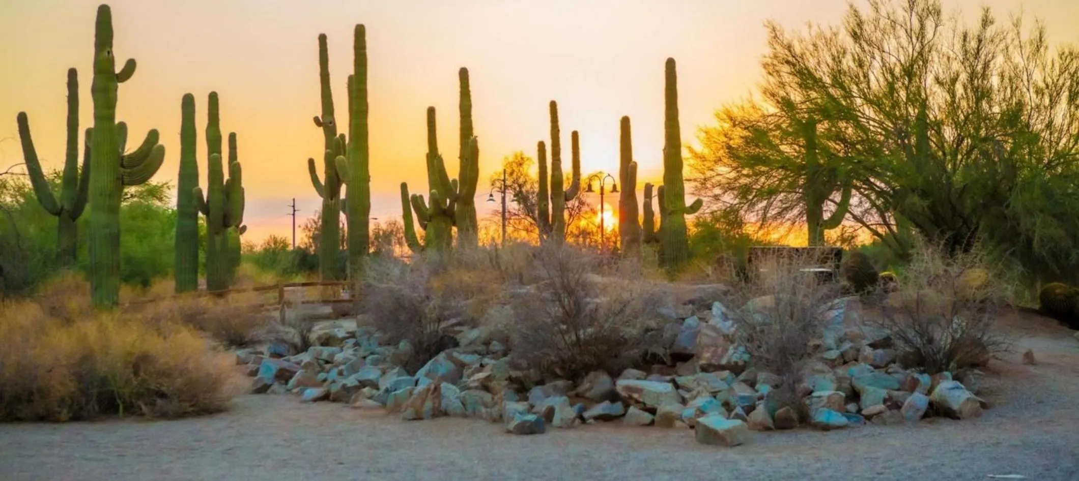 Nearby landmark in Staybridge Suites - Gilbert - East Mesa by IHG