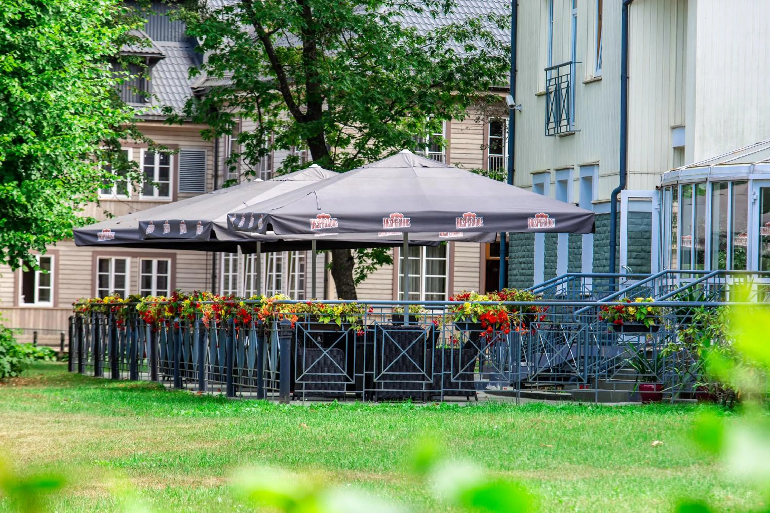 View (from property/room) in Hotel Violeta