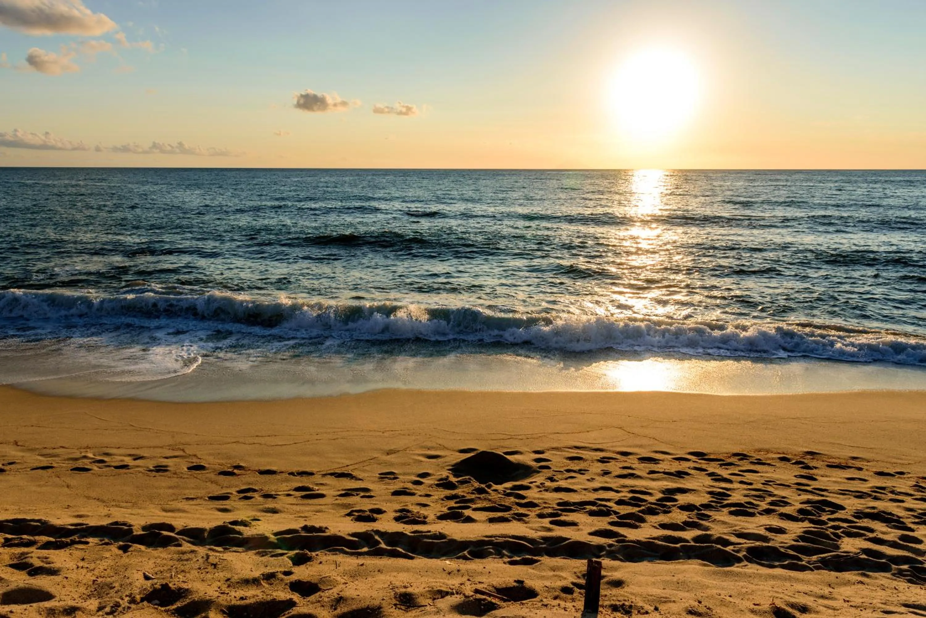 Beach in TUISuneo La Conchiglia - Adults Only