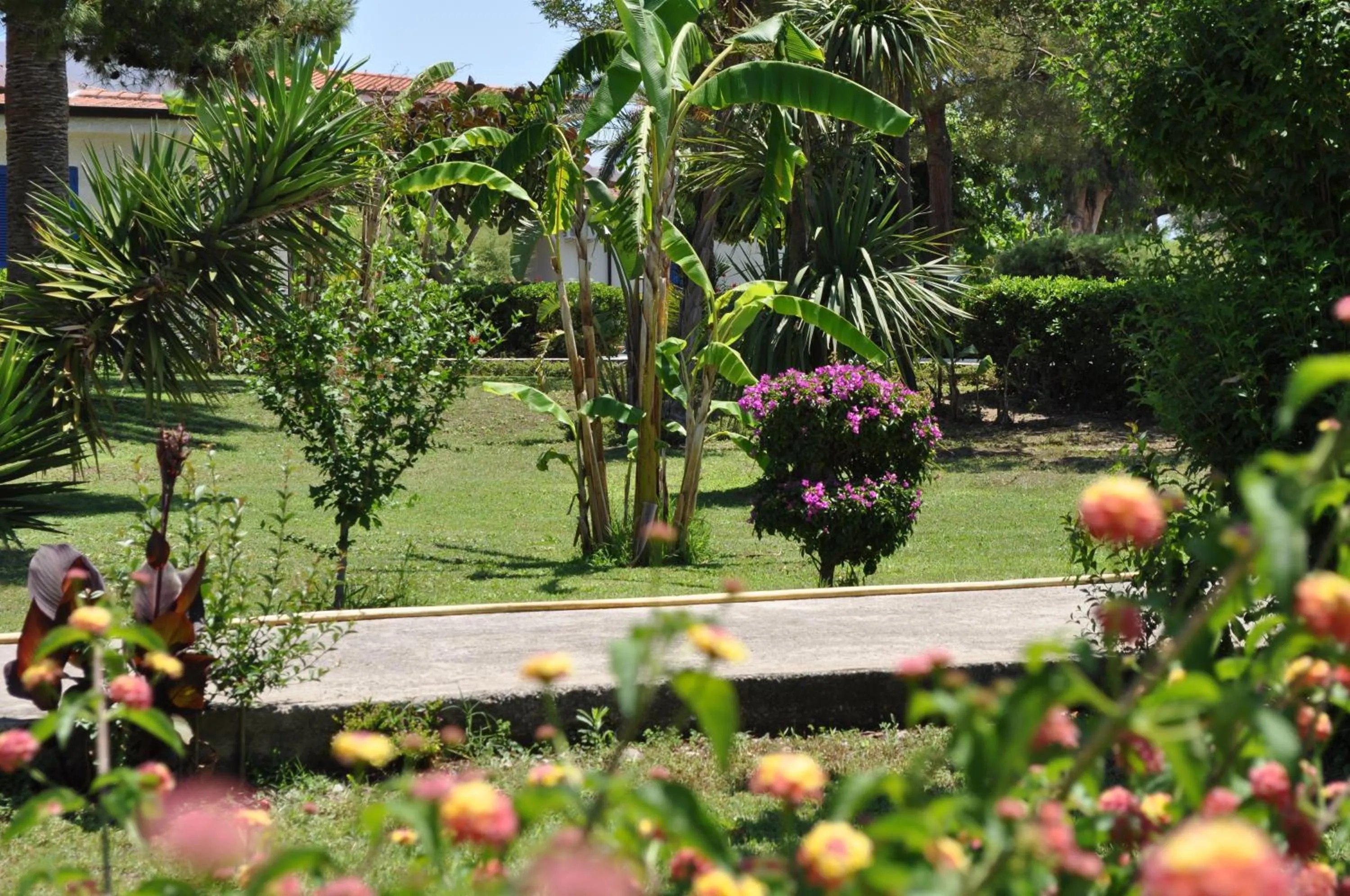 Day in TUISuneo La Conchiglia - Adults Only