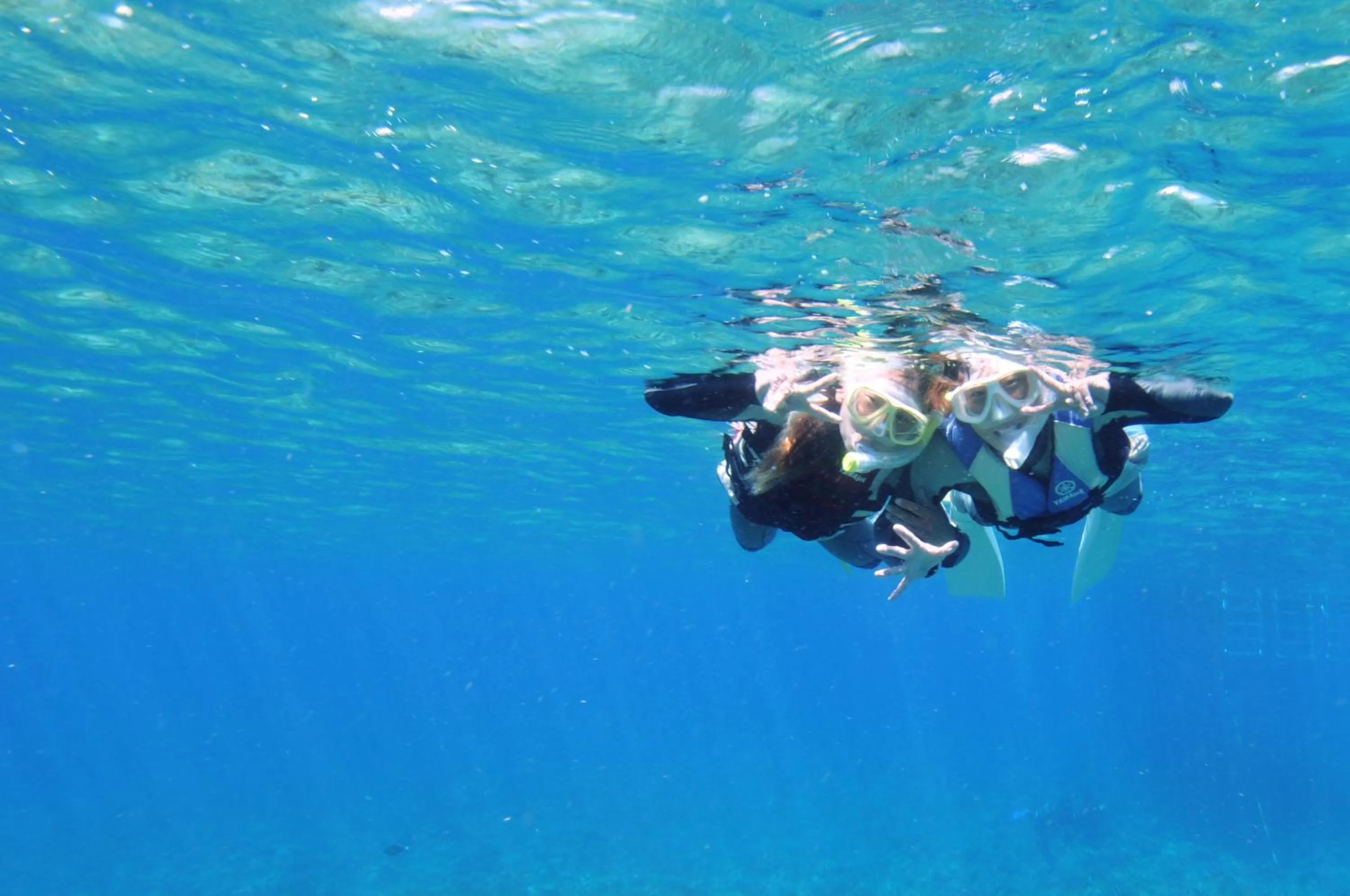 Diving in Hotel Noah