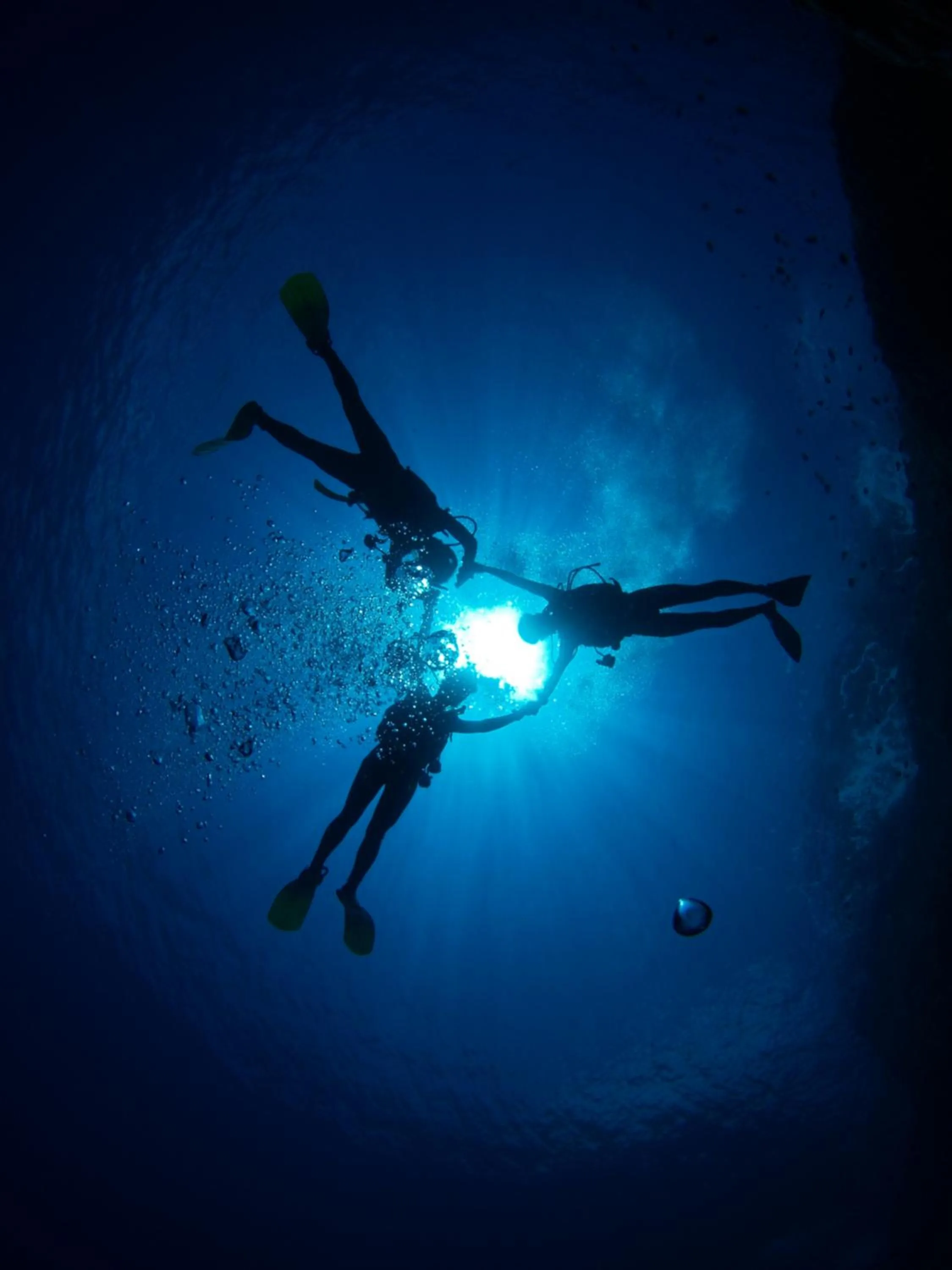 Snorkeling in Hotel Noah