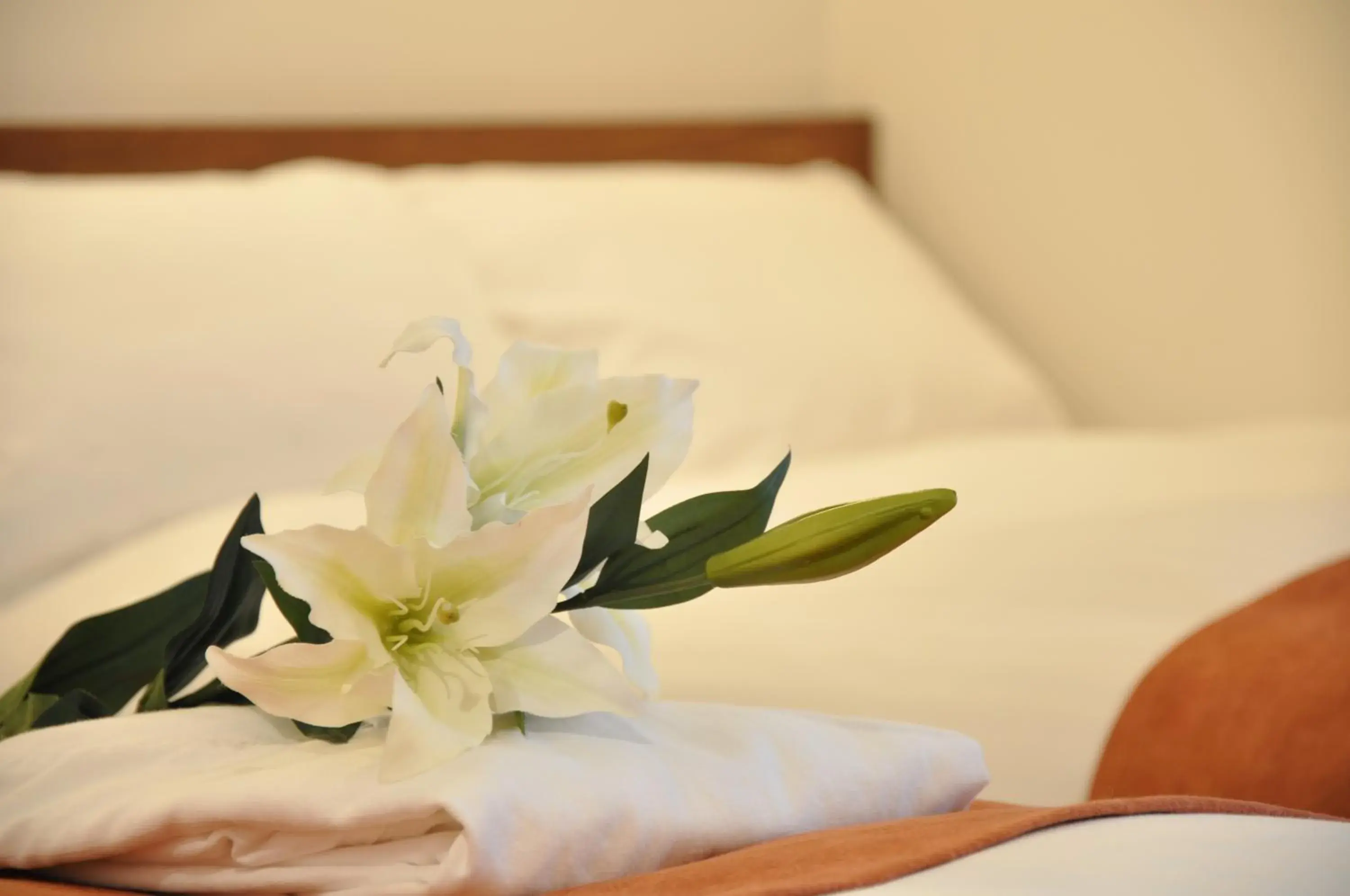 Bedroom, Bed in Hotel Noah Bedroom, Bed in Hotel Noah