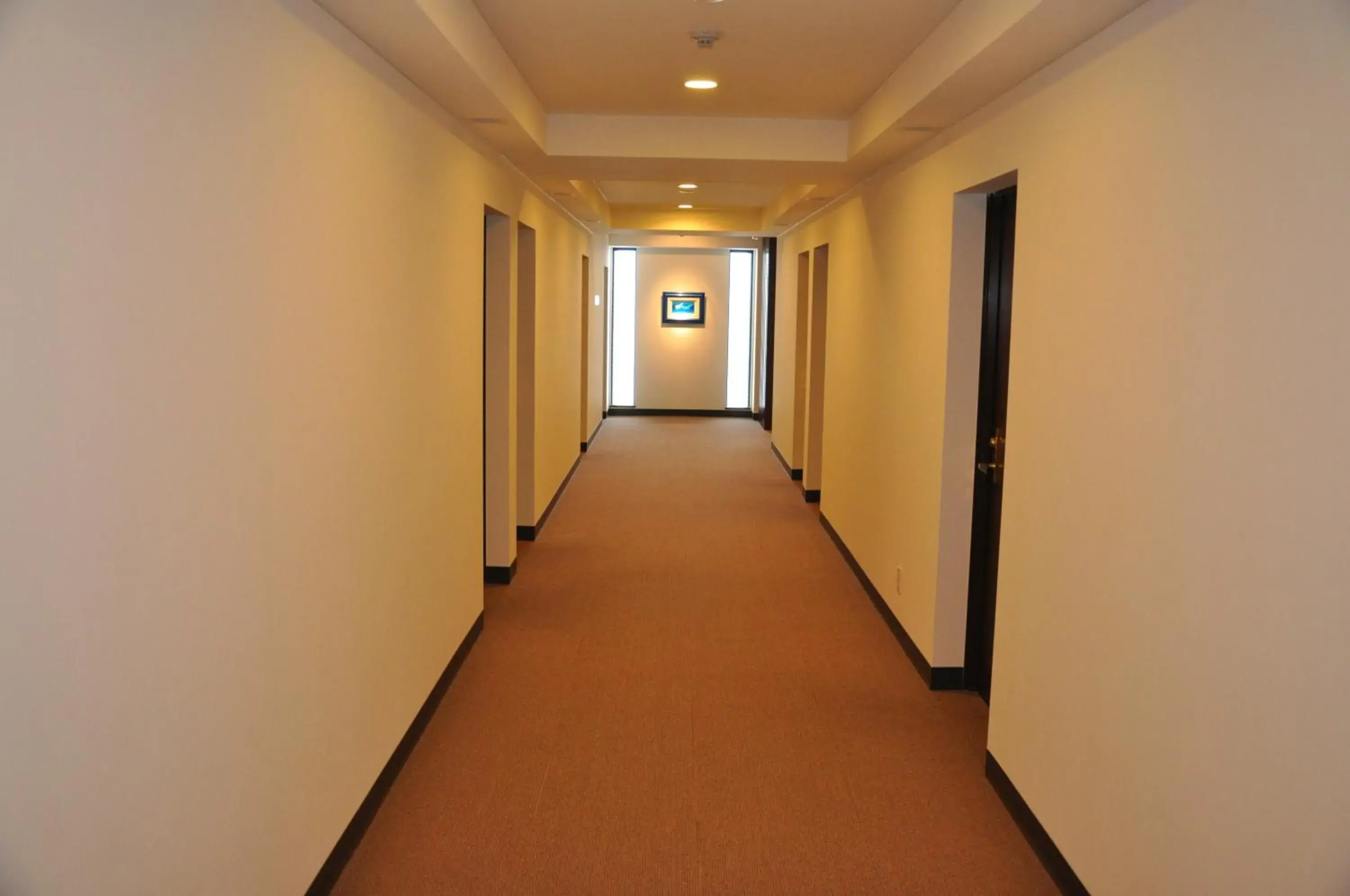 Photo of the whole room in Hotel Noah Photo of the whole room in Hotel Noah