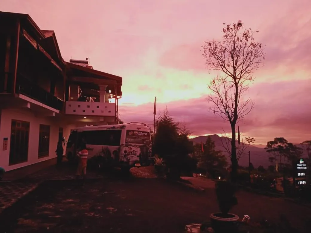 Sunrise in Nature First Hotel