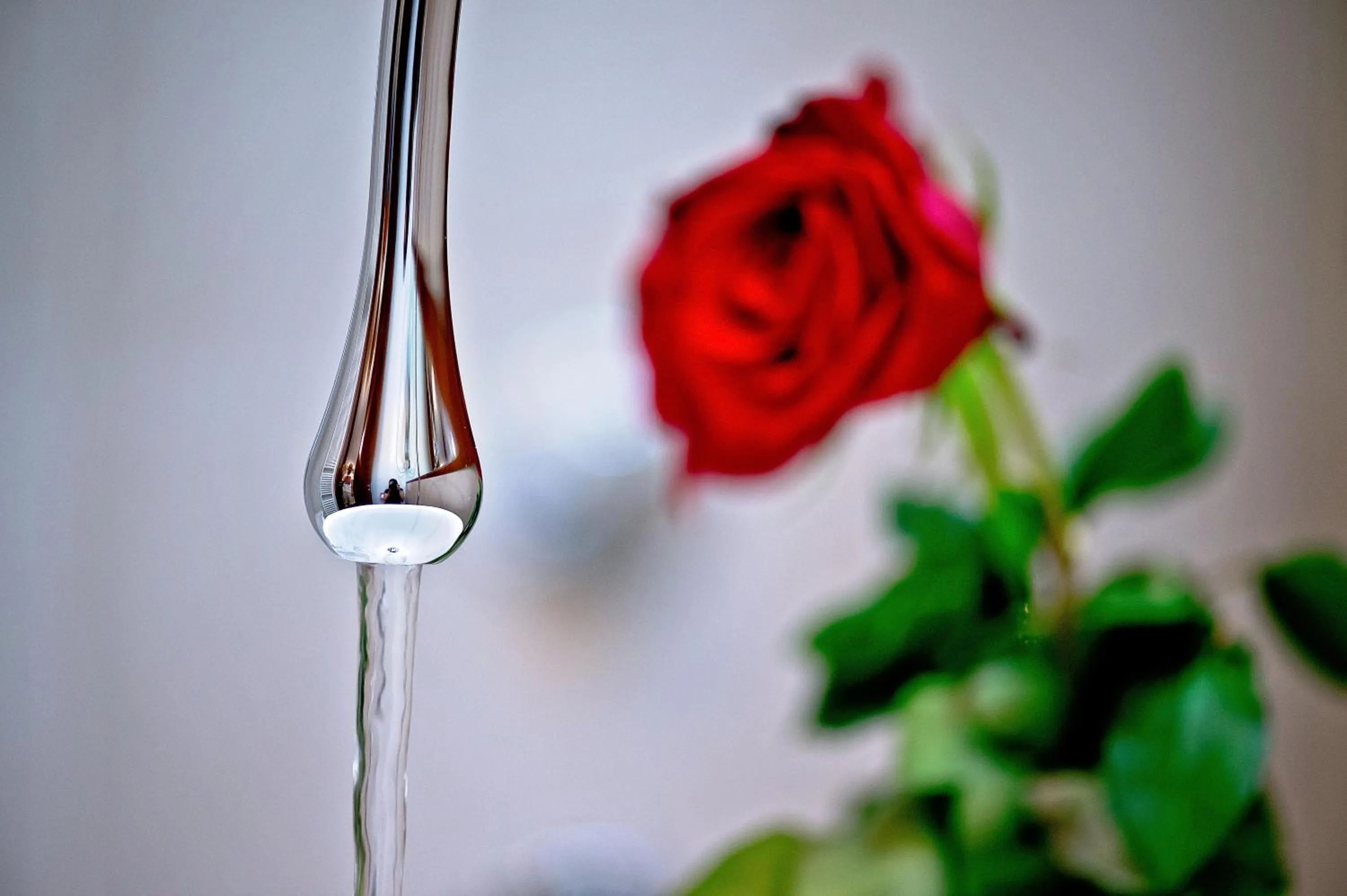 Other in Jupiter Heritage Hotel