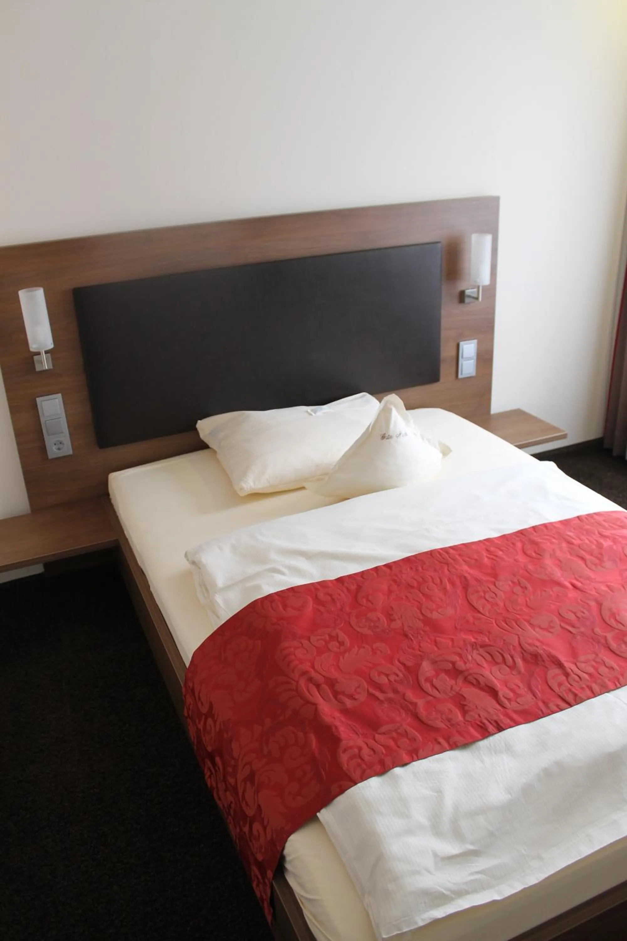 Superior Single Room in Hotel Schwanen