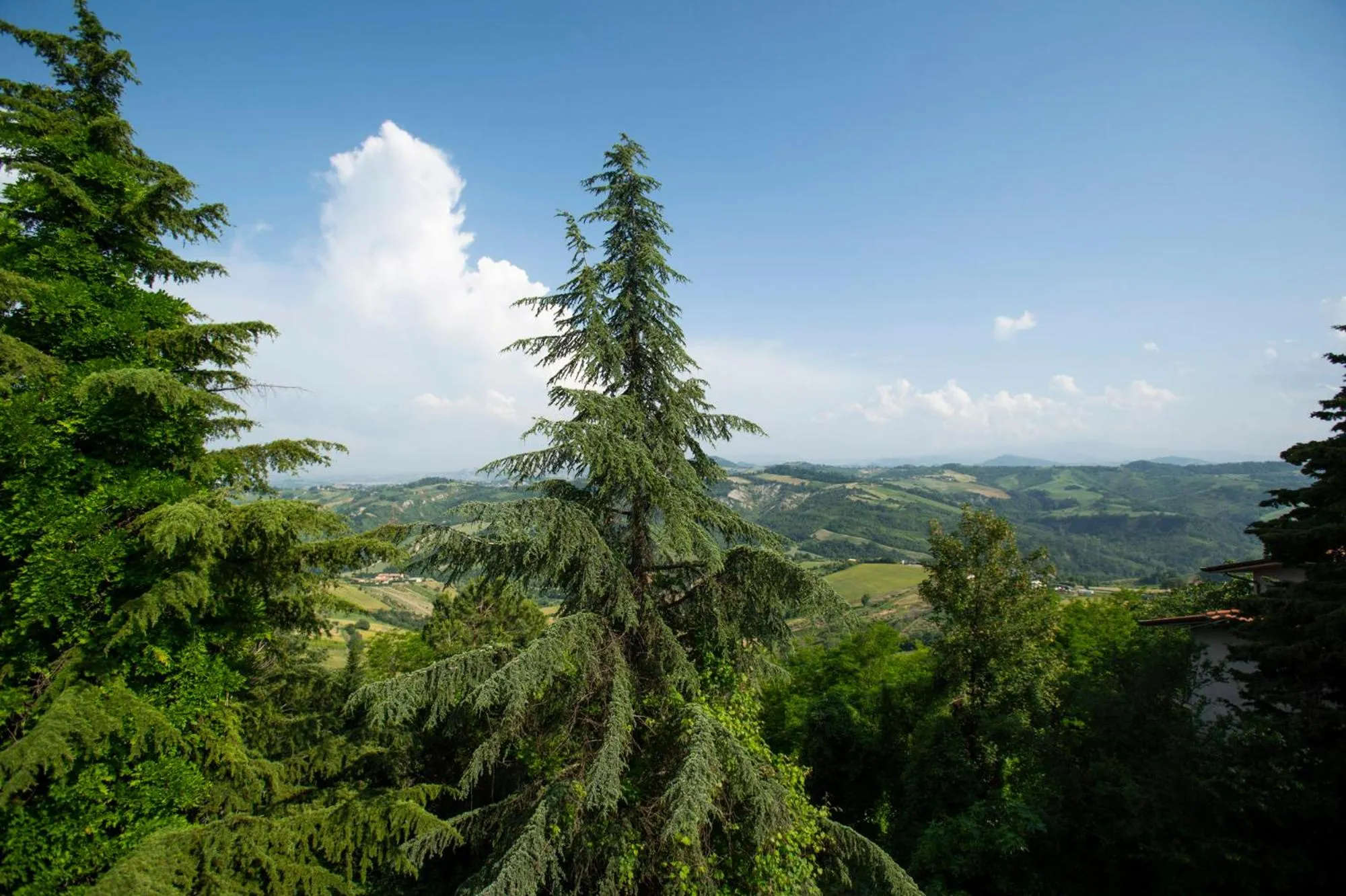 Il Giardino dei Frati