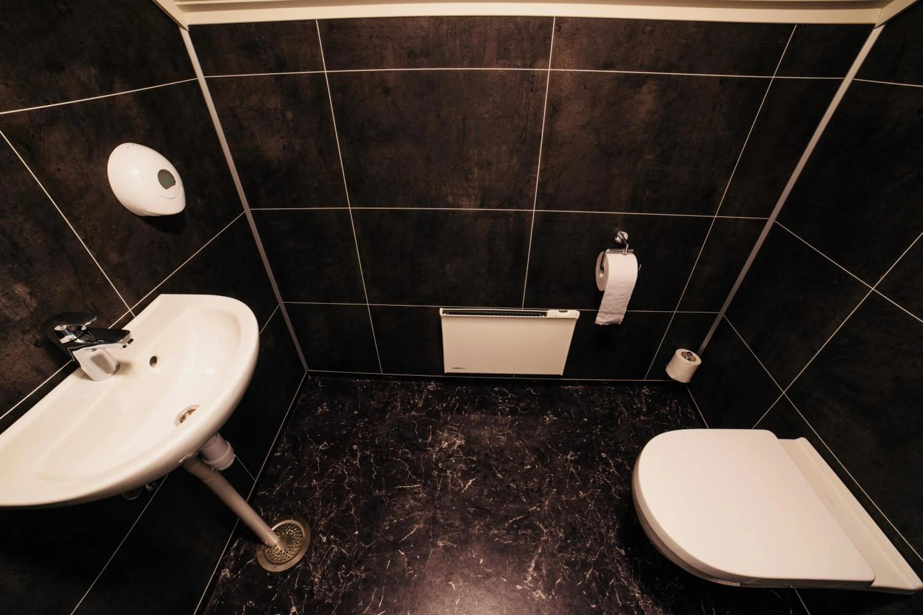 Toilet in Gudvangen Budget Hotel