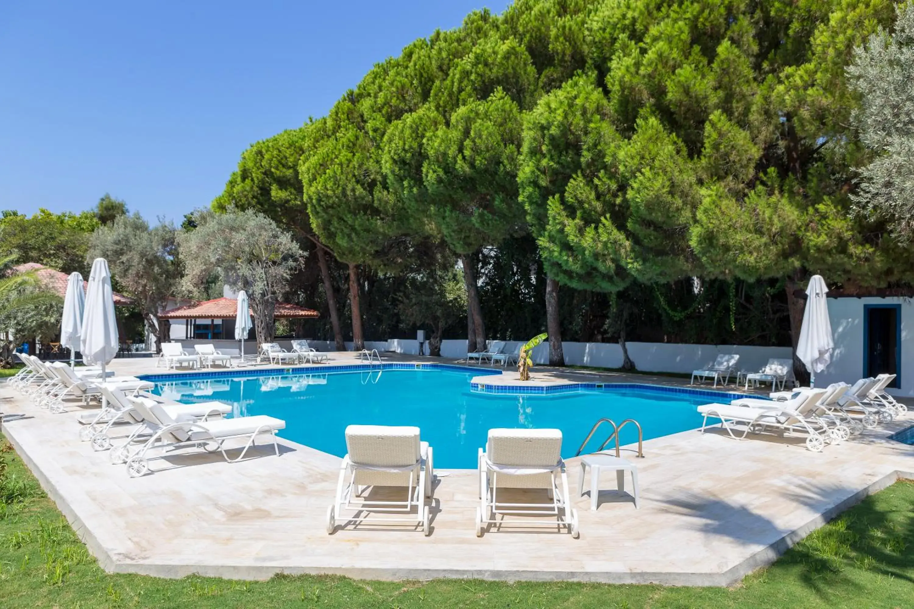 Swimming pool in Risus Garden Marina Hotel Swimming pool in Risus Garden Marina Hotel