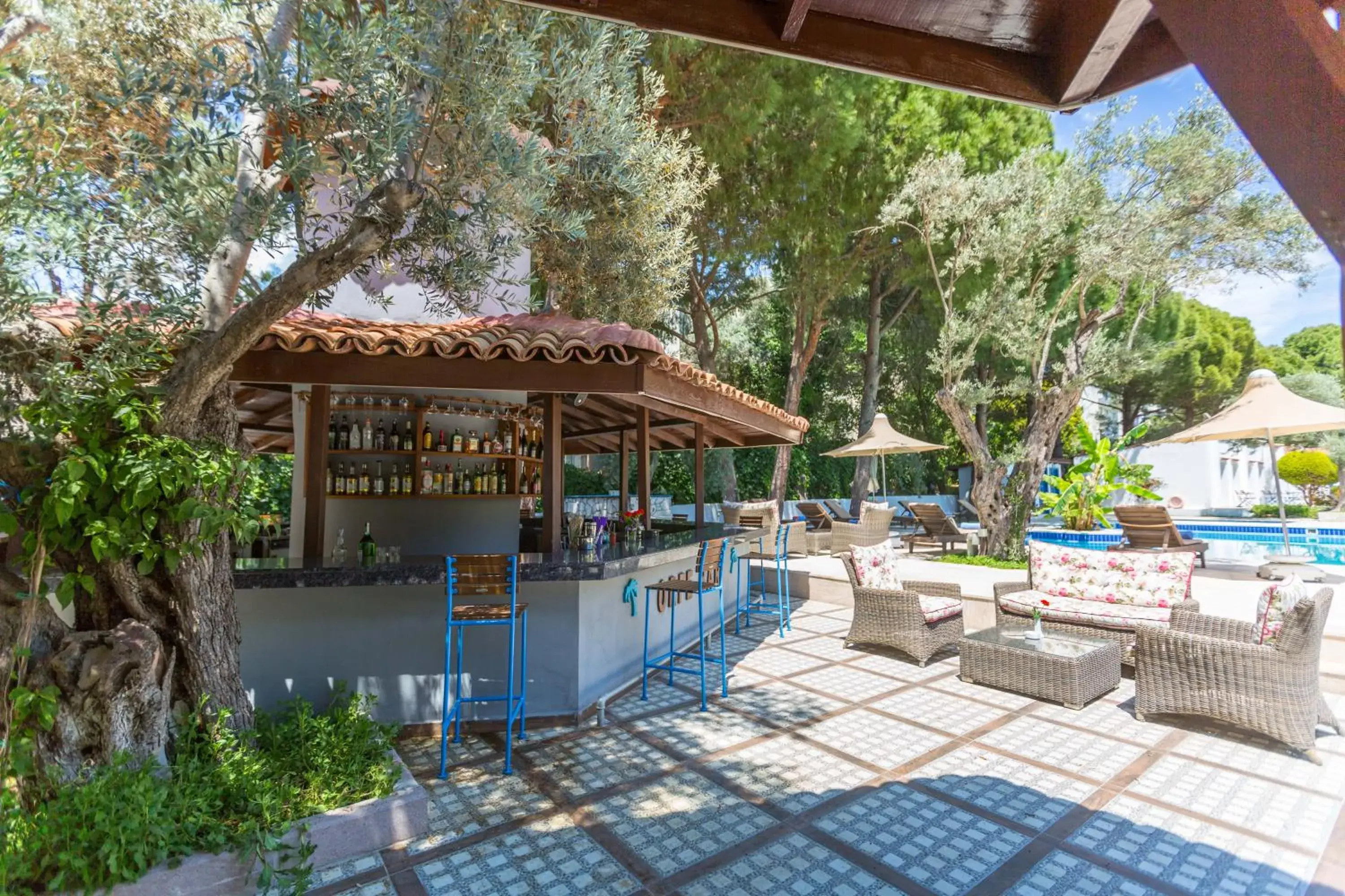 Food and drinks in Risus Garden Marina Hotel Food and drinks in Risus Garden Marina Hotel