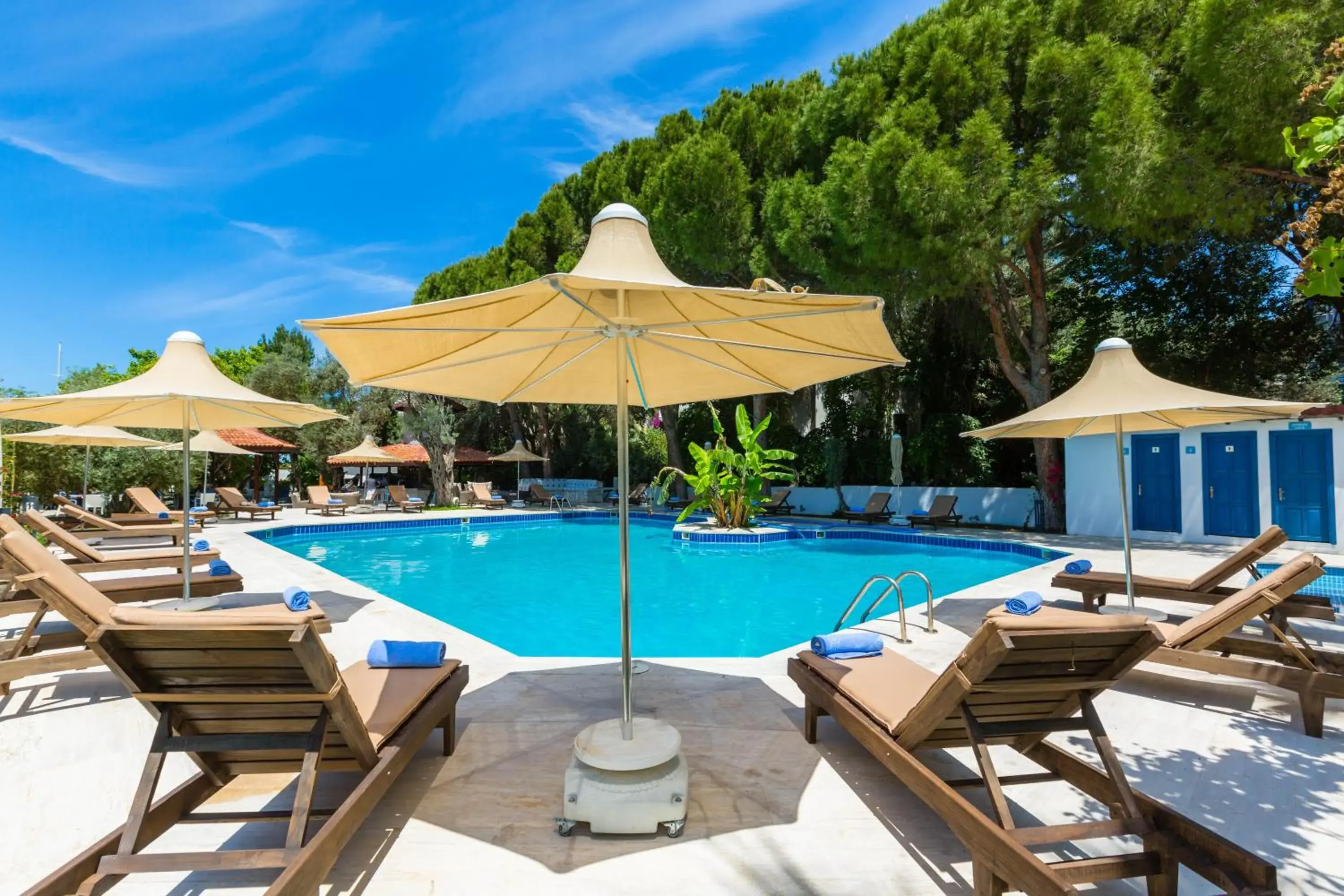 Garden view in Risus Garden Marina Hotel Garden view in Risus Garden Marina Hotel