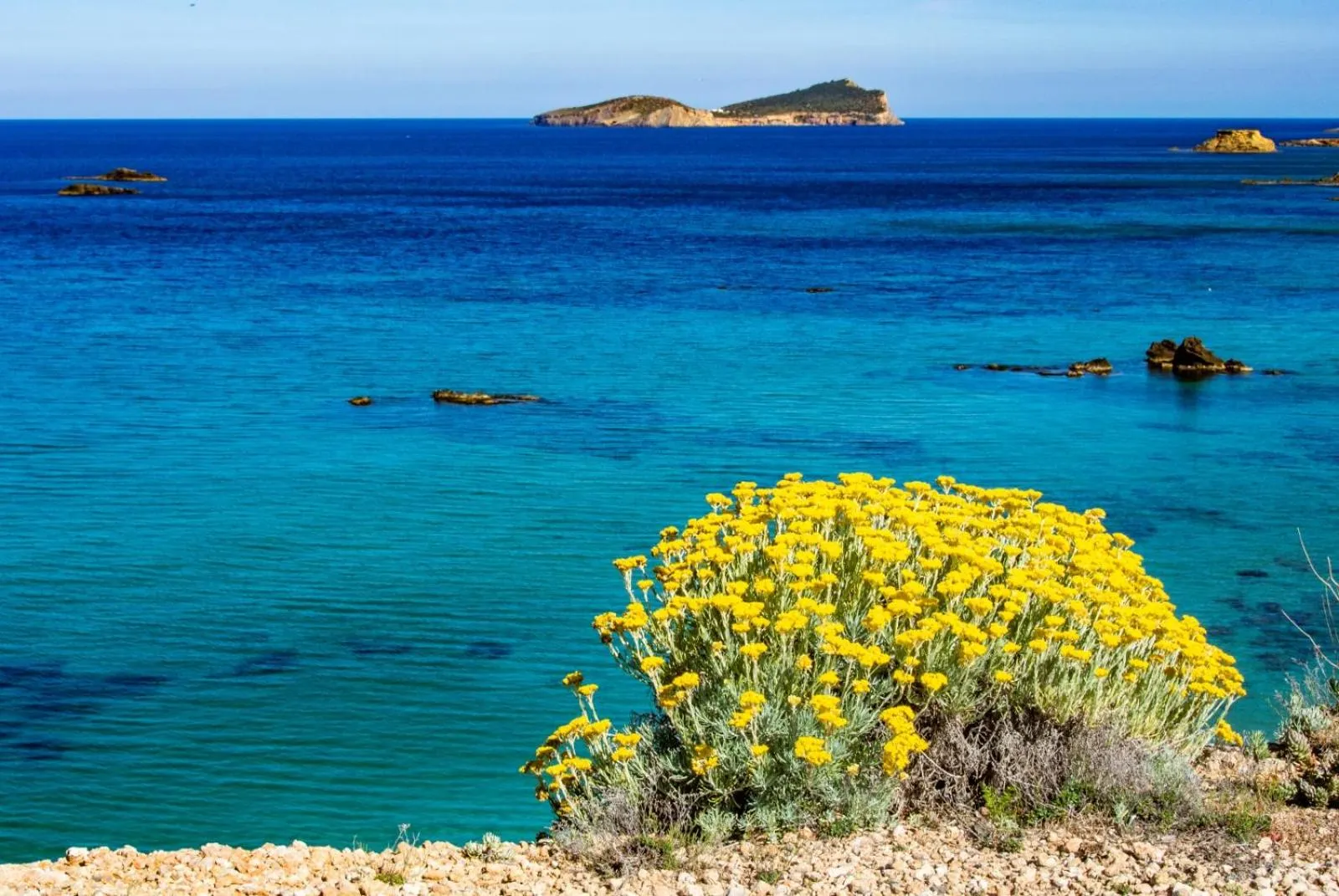 Hostal y Apartamentos Santa Eulalia