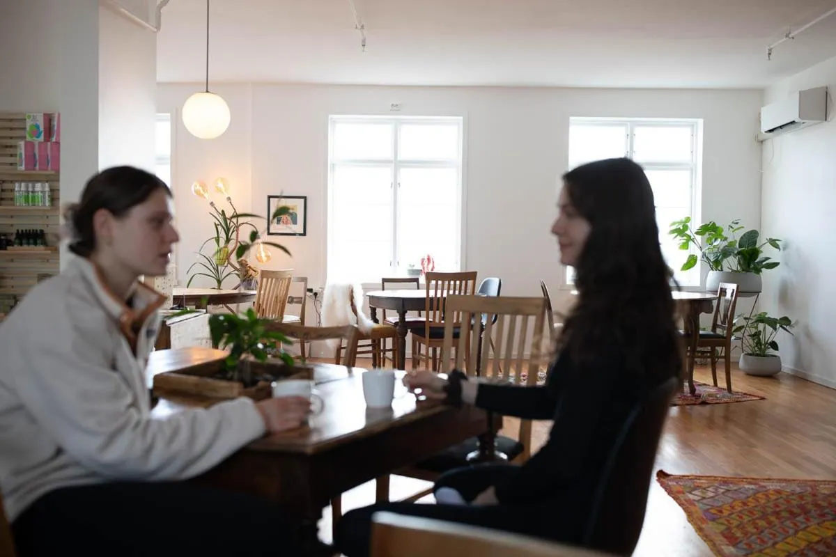 Kitchen or kitchenette in Catogården - Boutique Home & Activity Centre