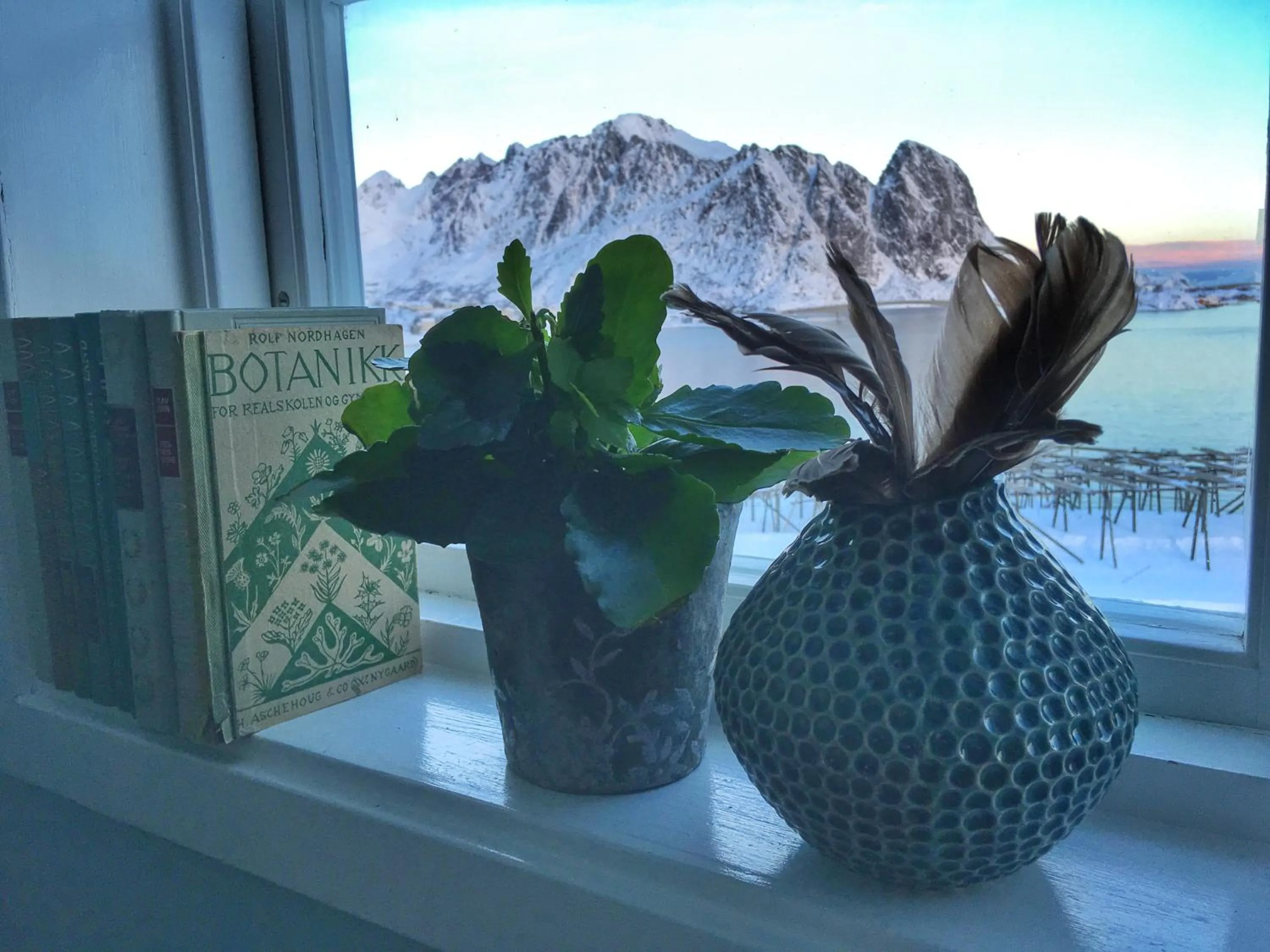 Catogården - Boutique Home & Activity Centre