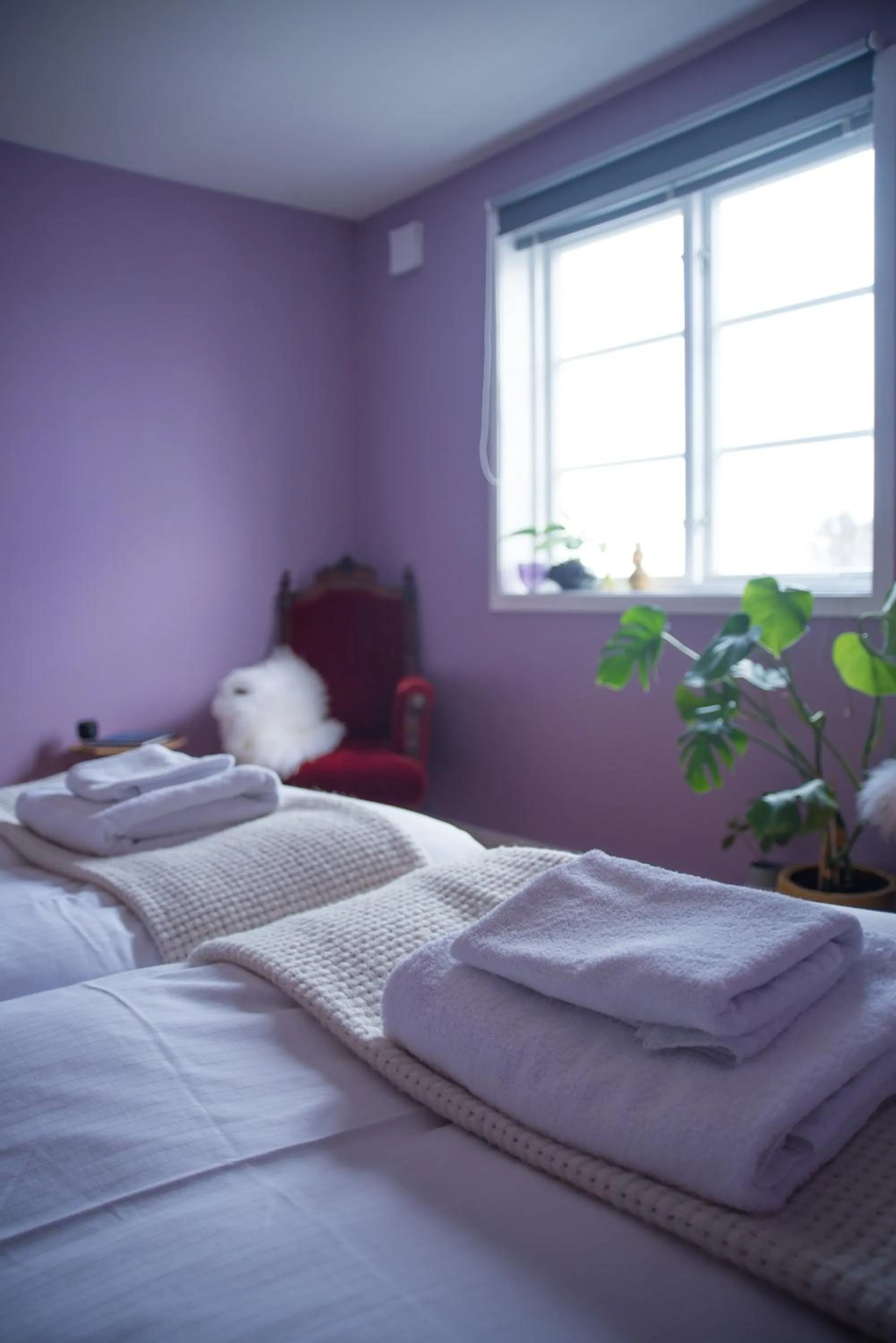 Bed in Catogården - Boutique Home & Activity Centre