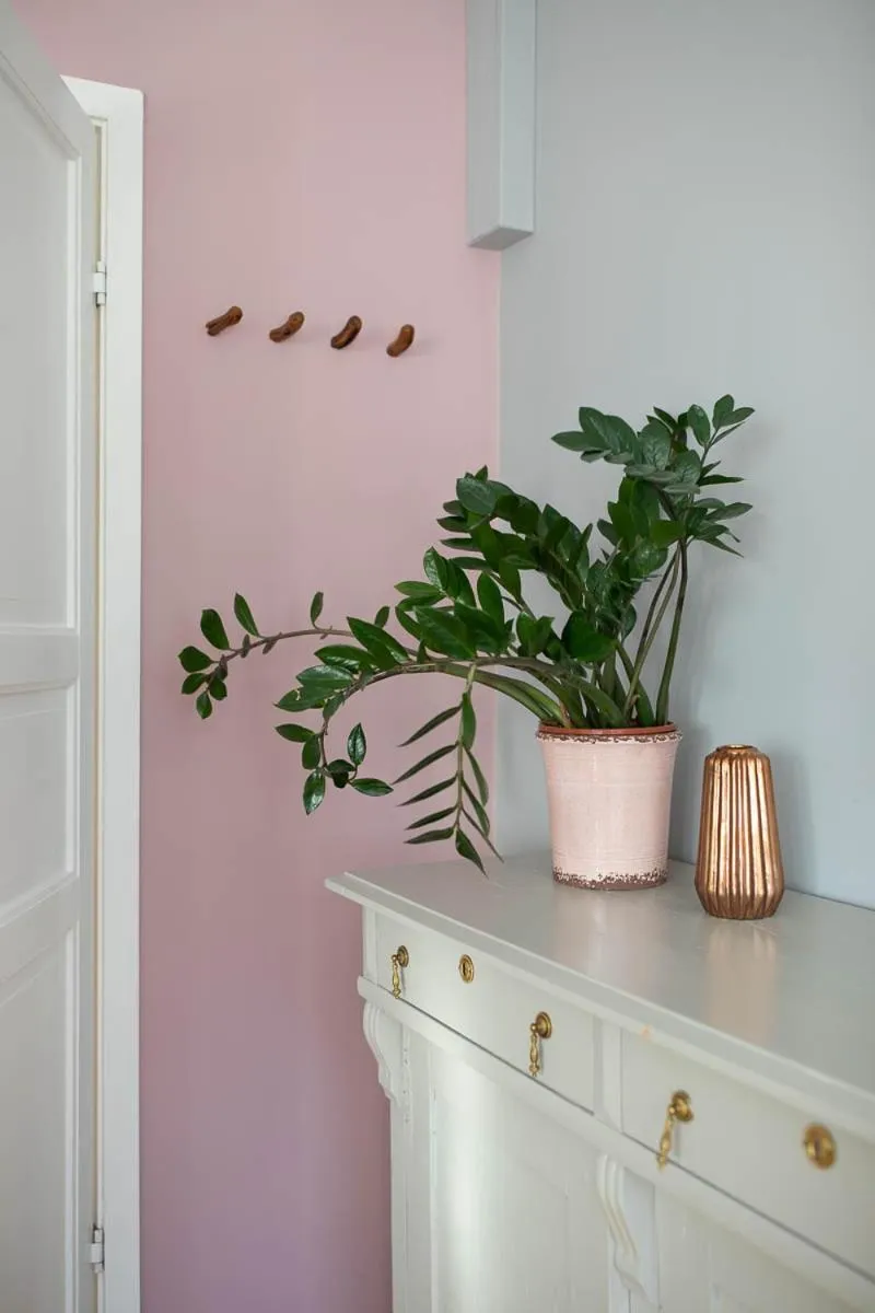 Catogården - Boutique Home & Activity Centre