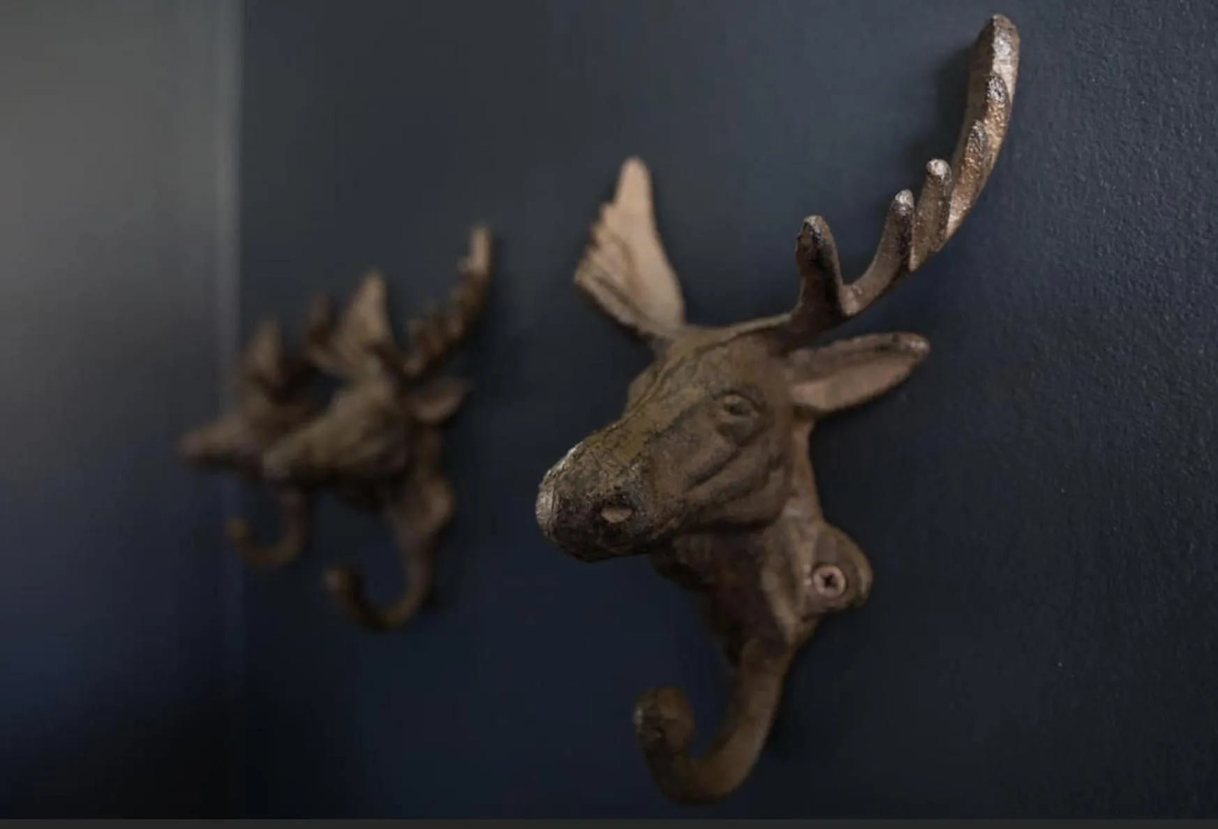 Catogården - Boutique Home & Activity Centre