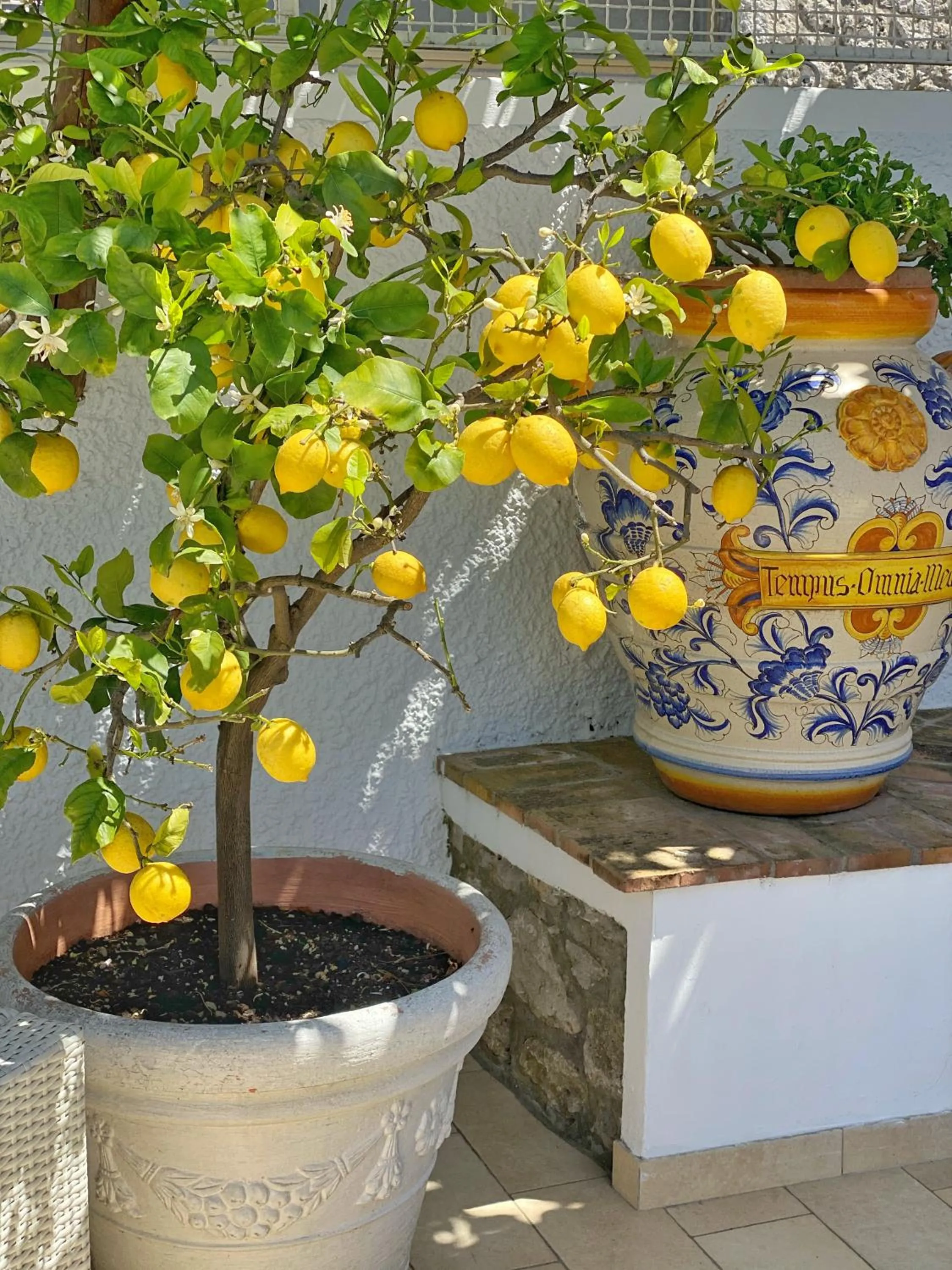 Garden in La Giuliva Charming Rooms