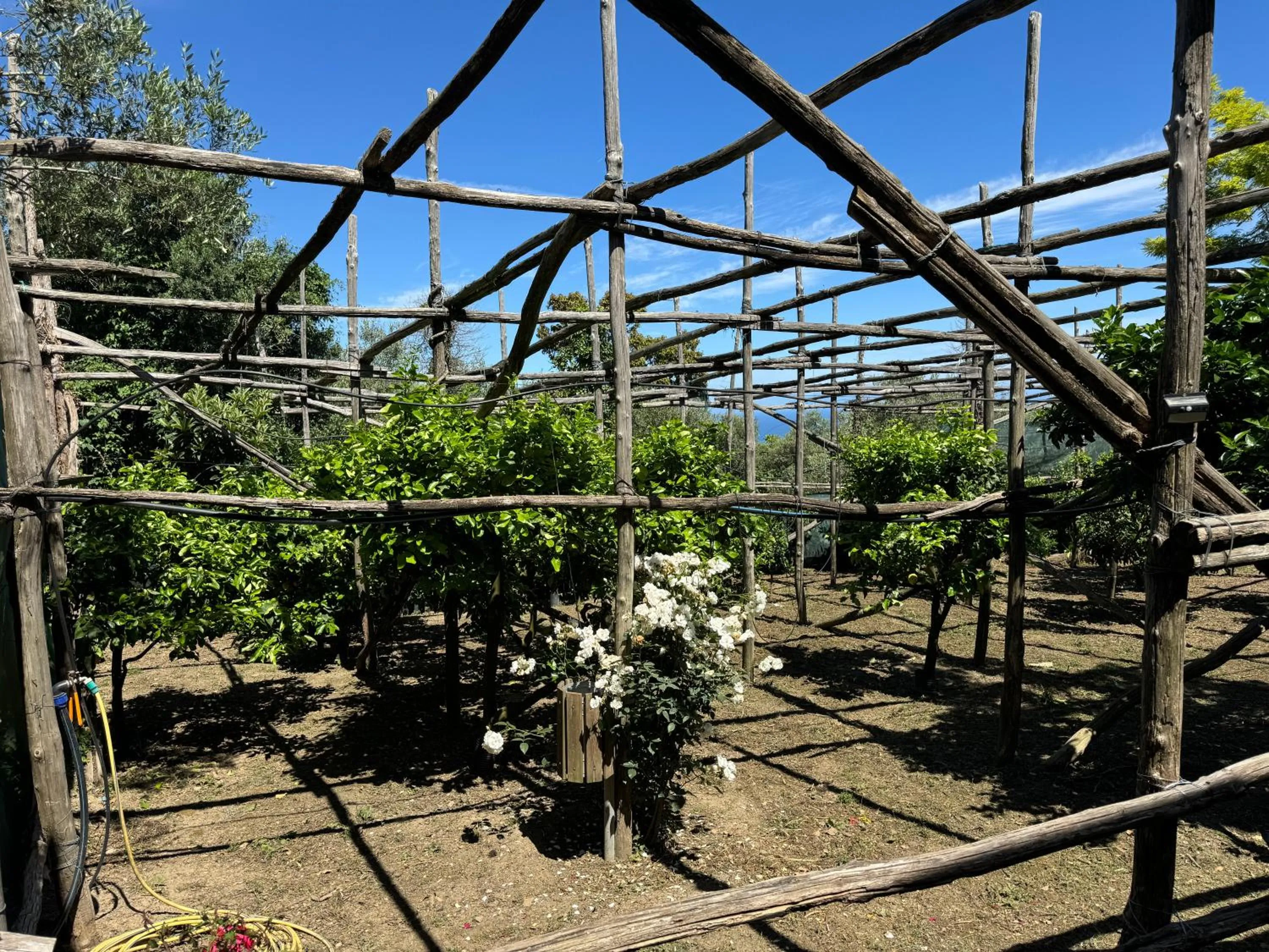 Agriturismo Piccolo Paradiso