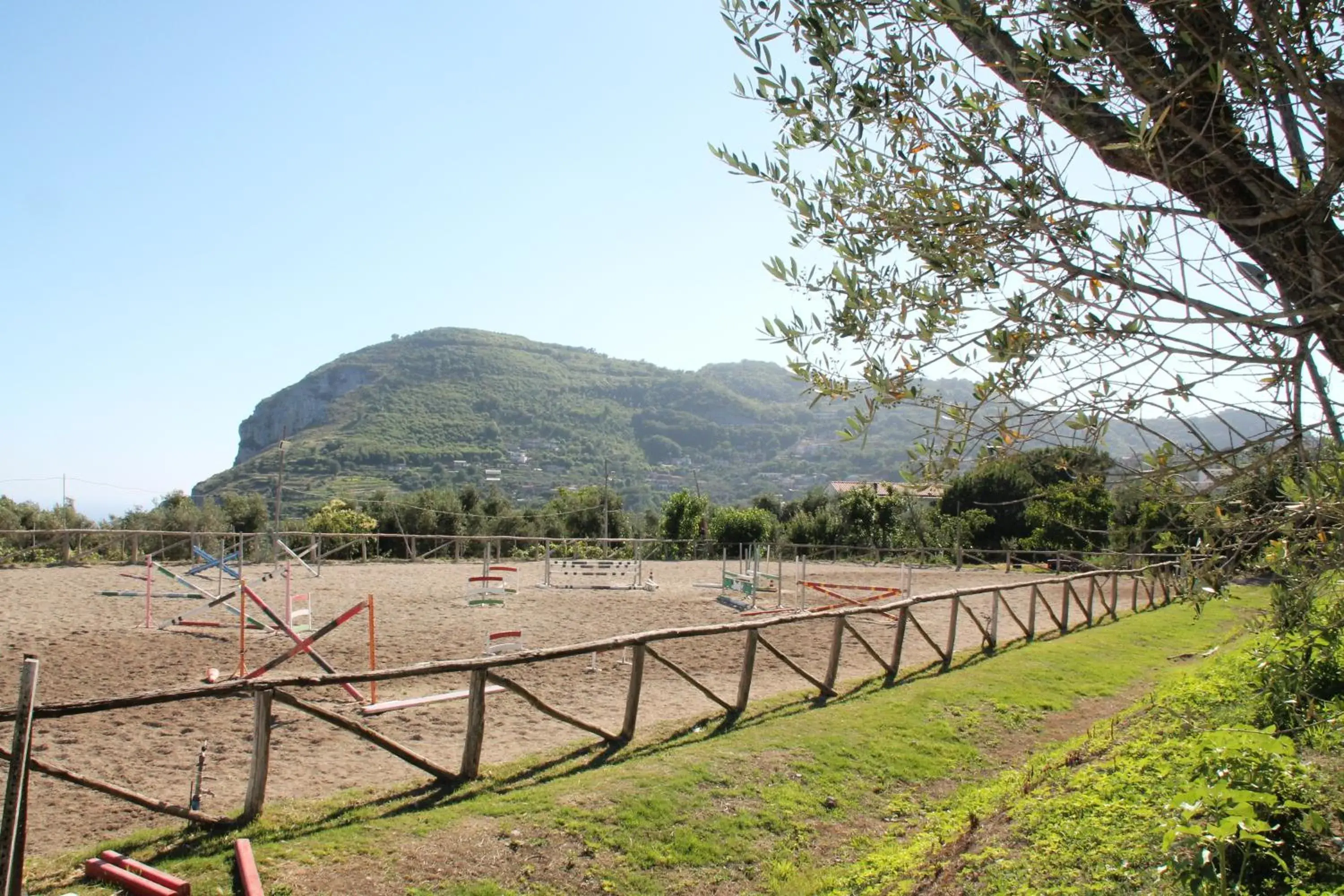 View (from property/room) in Agriturismo Piccolo Paradiso View (from property/room) in Agriturismo Piccolo Paradiso