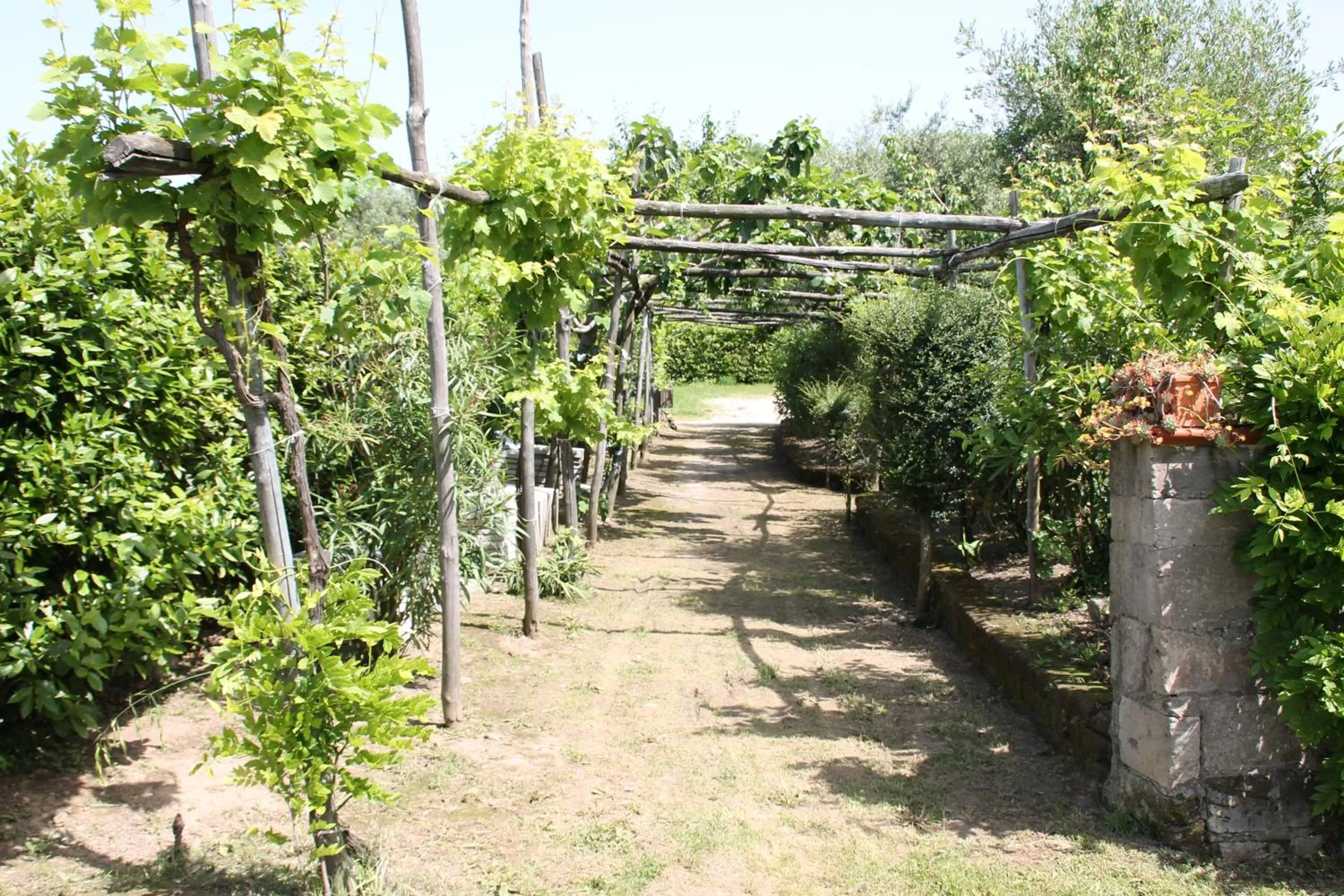 Garden in Agriturismo Piccolo Paradiso