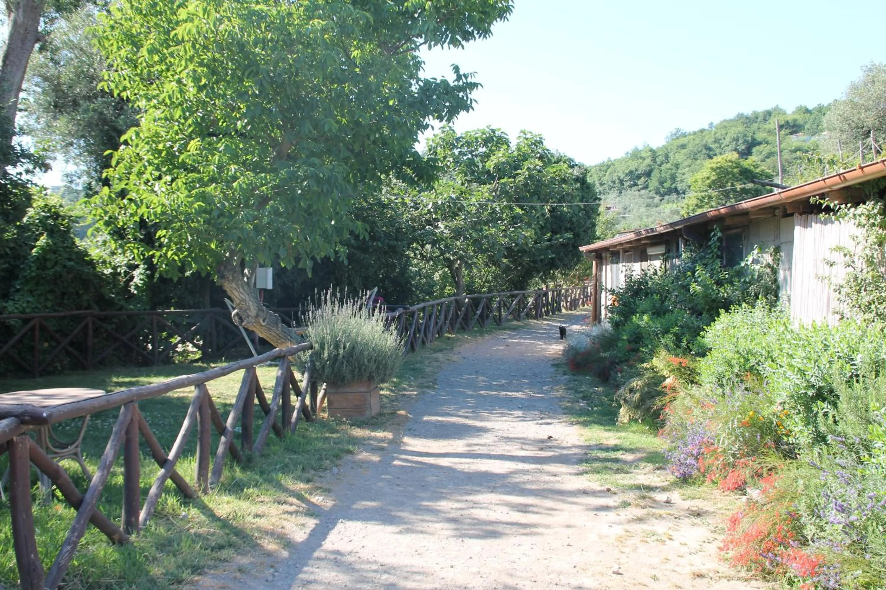 Garden in Agriturismo Piccolo Paradiso