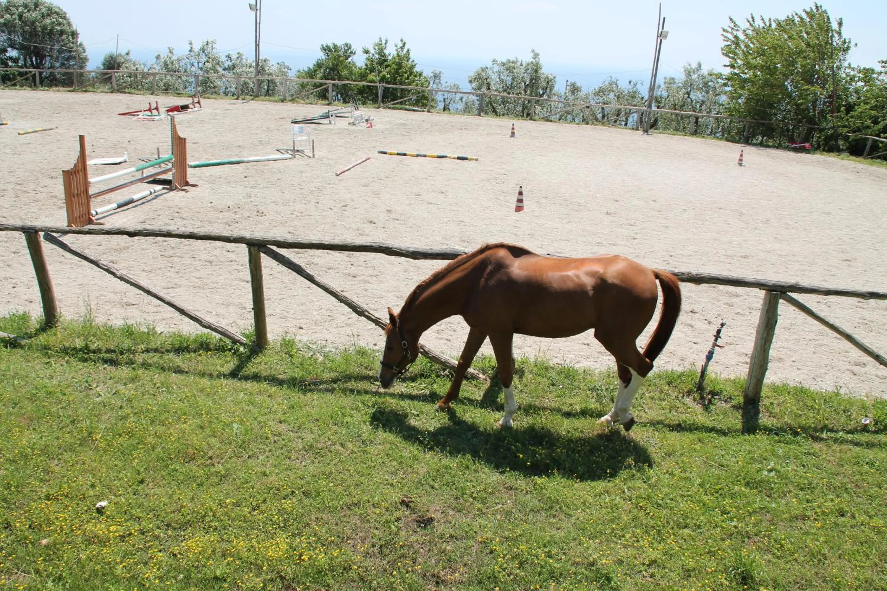 Day in Agriturismo Piccolo Paradiso