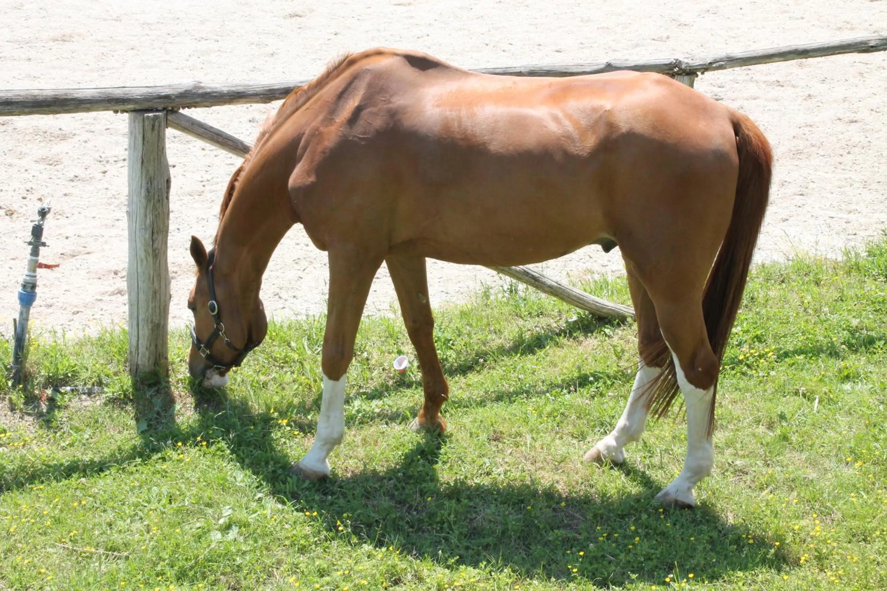 Day in Agriturismo Piccolo Paradiso