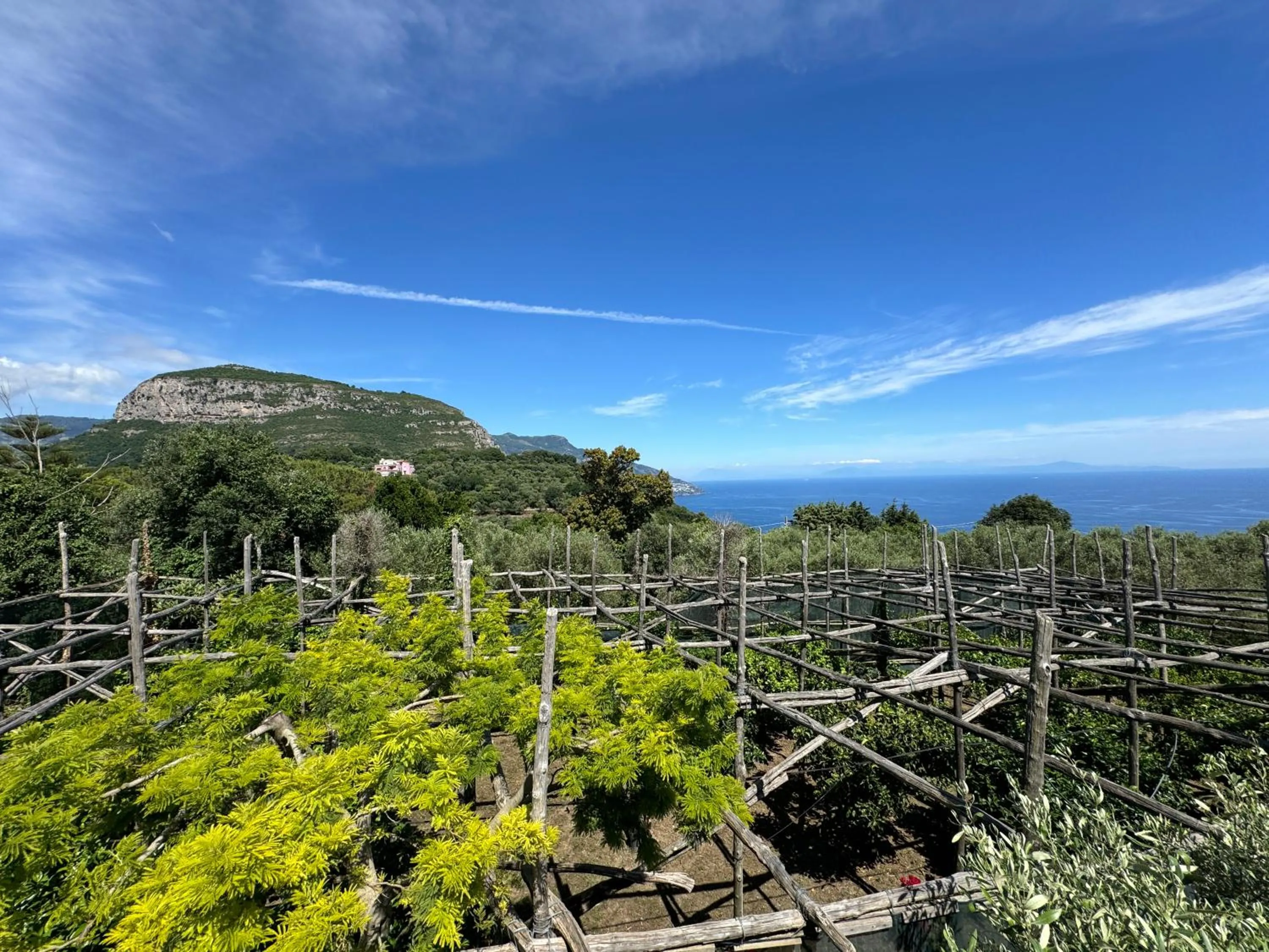 Sea view in Agriturismo Piccolo Paradiso