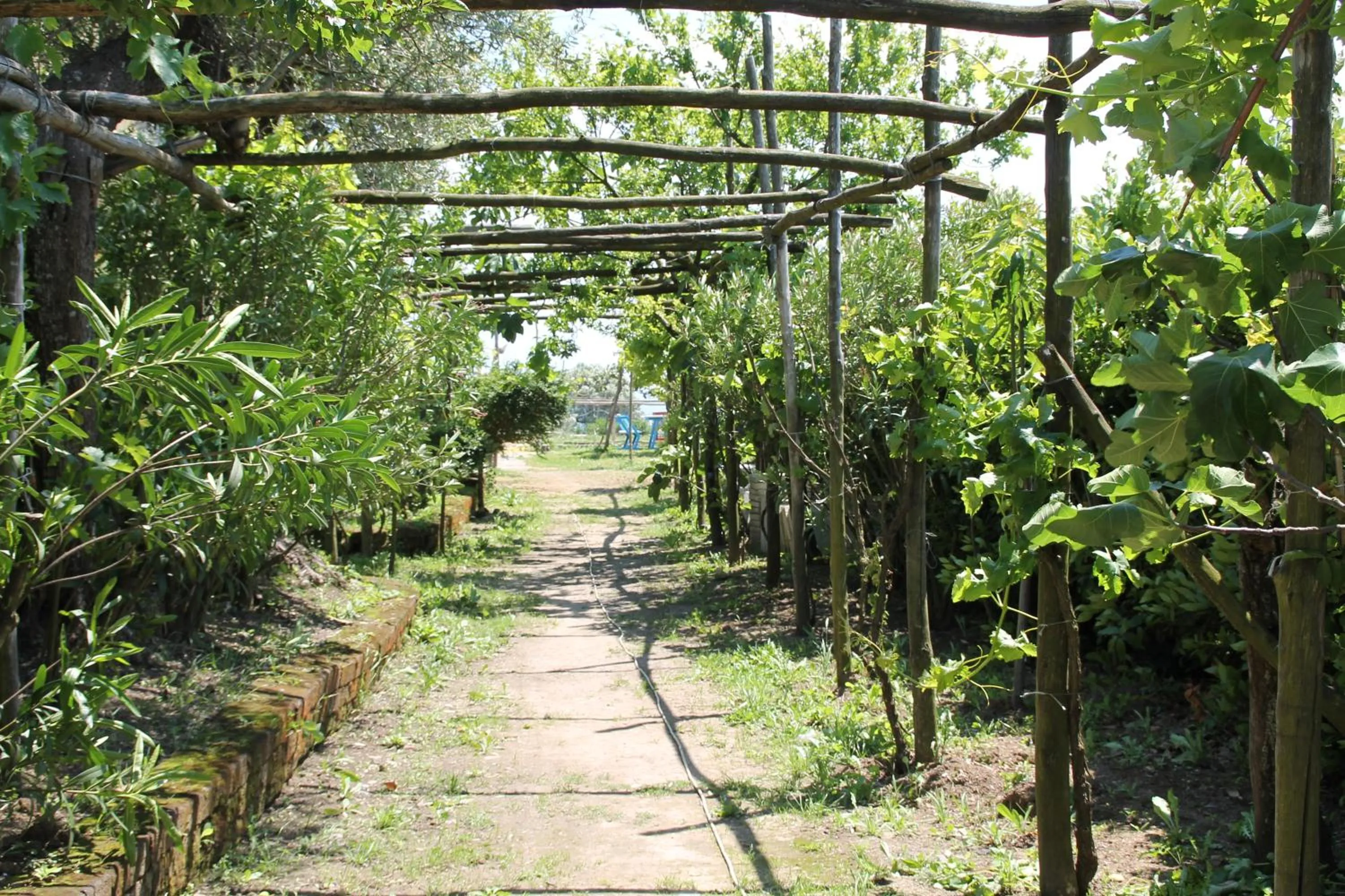 Day in Agriturismo Piccolo Paradiso