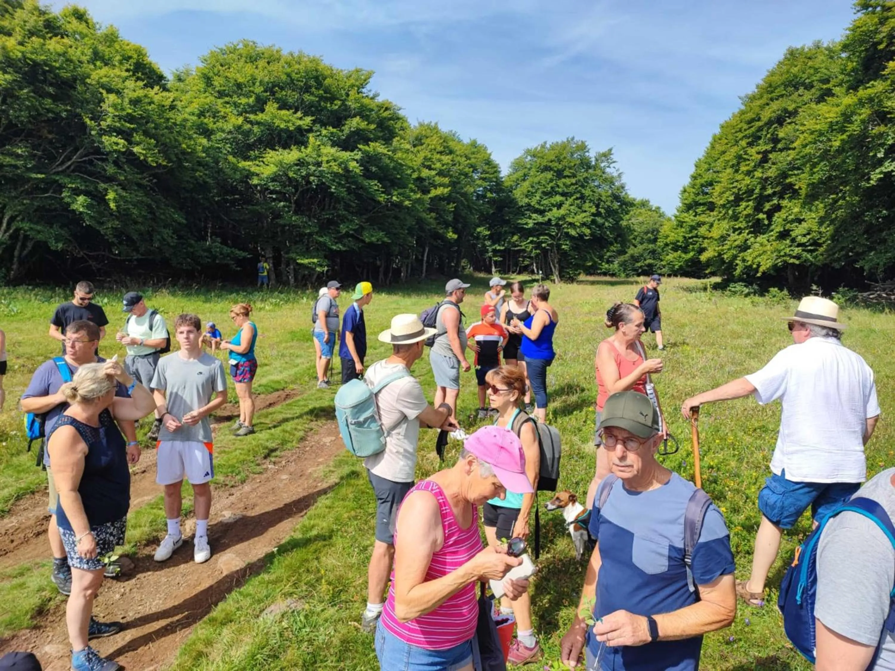 Hiking in Camping Marmotel