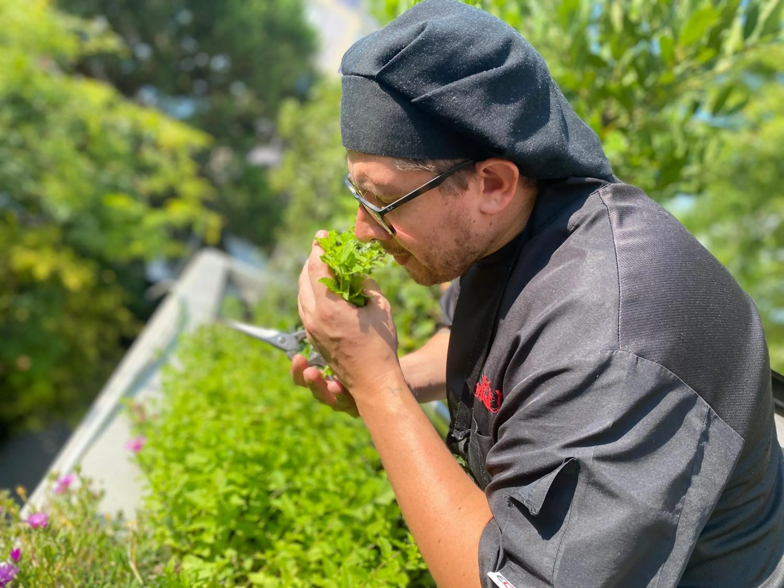 Food in Albergo Sorriso