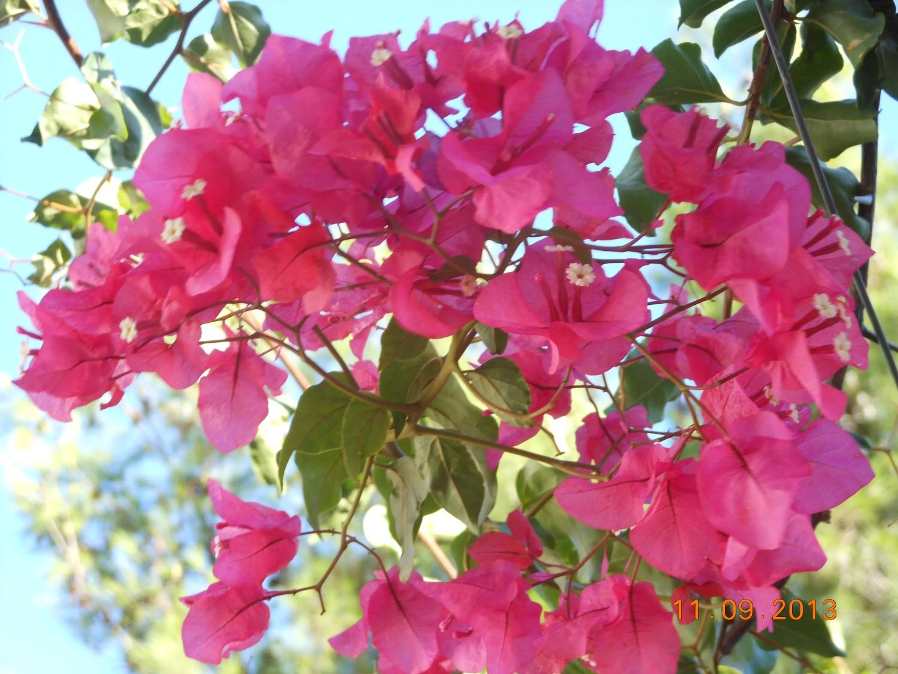 Garden in Centro Vacanze Piccolo Friuli